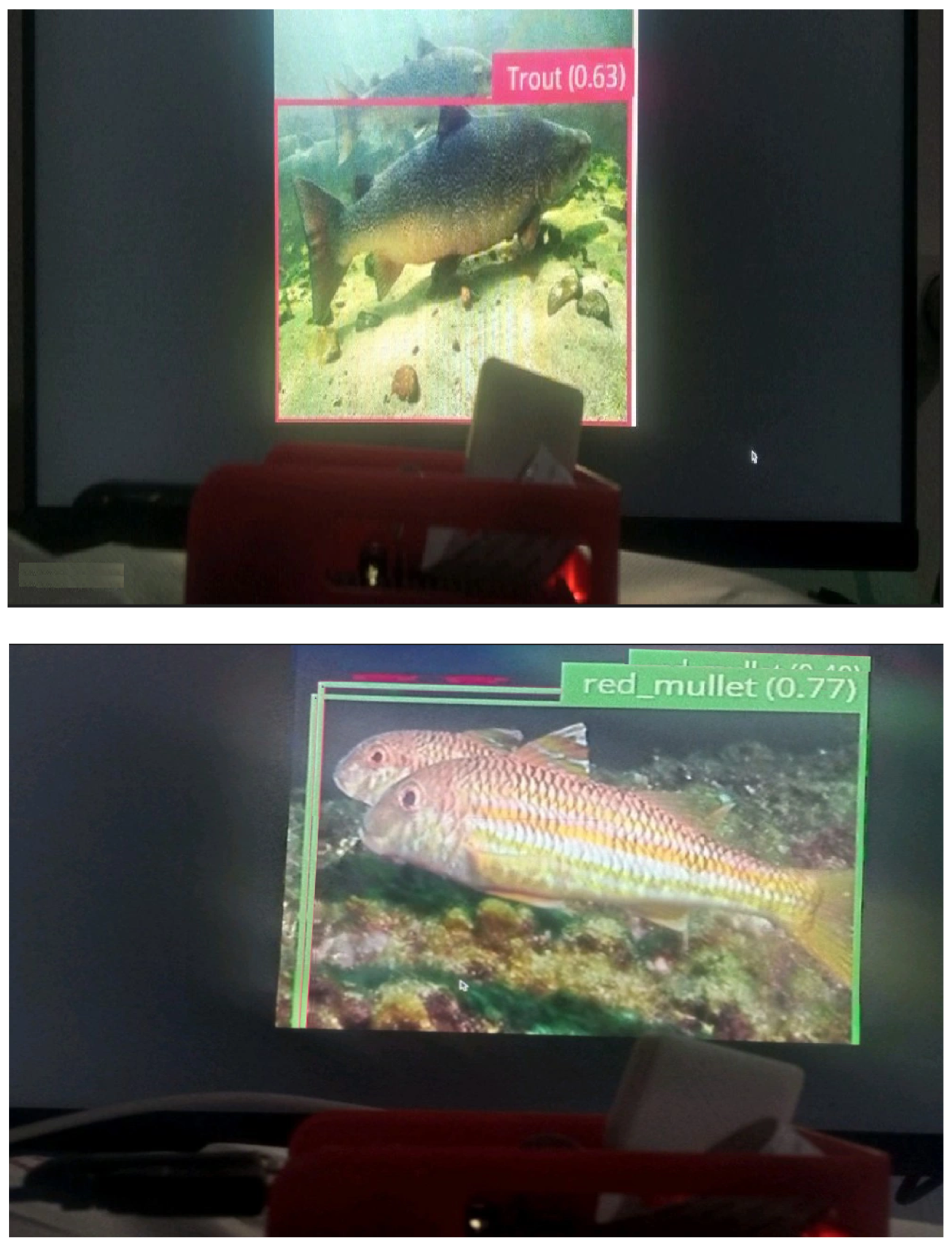 Fishes 08 00514 g013