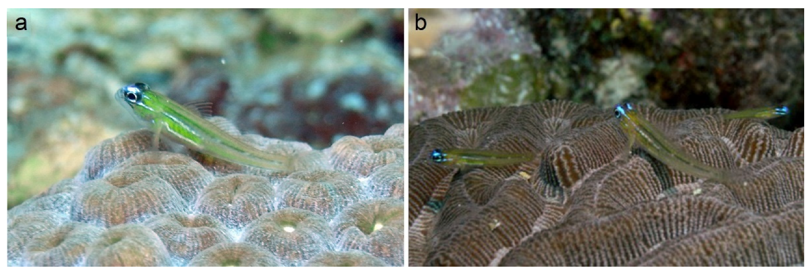 Fishes 08 00531 g002