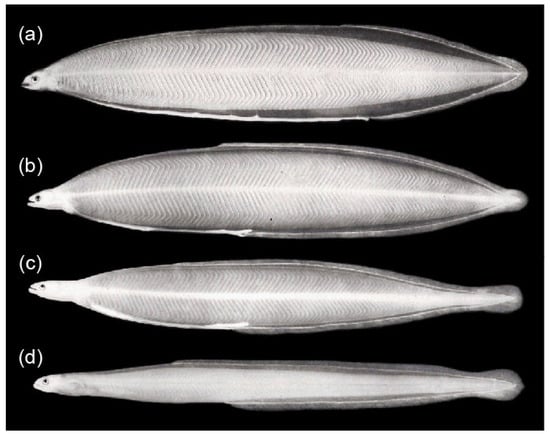 Fishes 08 00548 g001