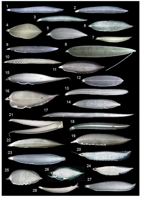 Fishes 08 00548 g002