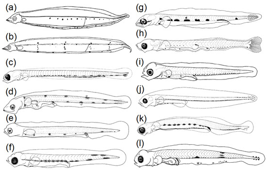 Fishes 08 00548 g005