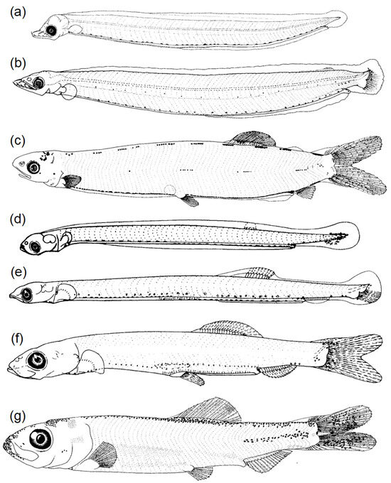 Fishes 08 00548 g006