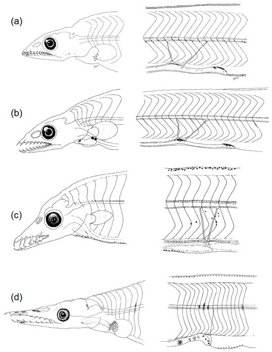 Fishes 08 00548 g011