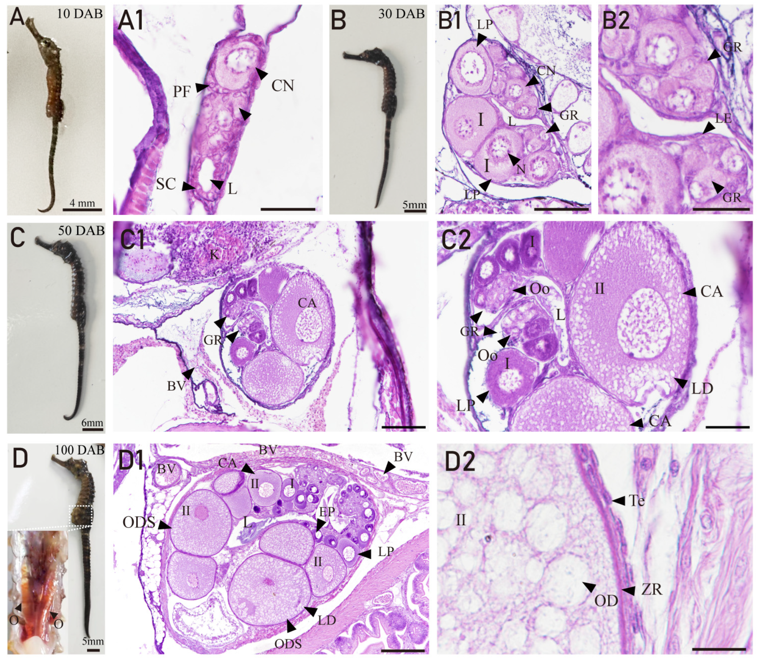 Fishes 08 00551 g003
