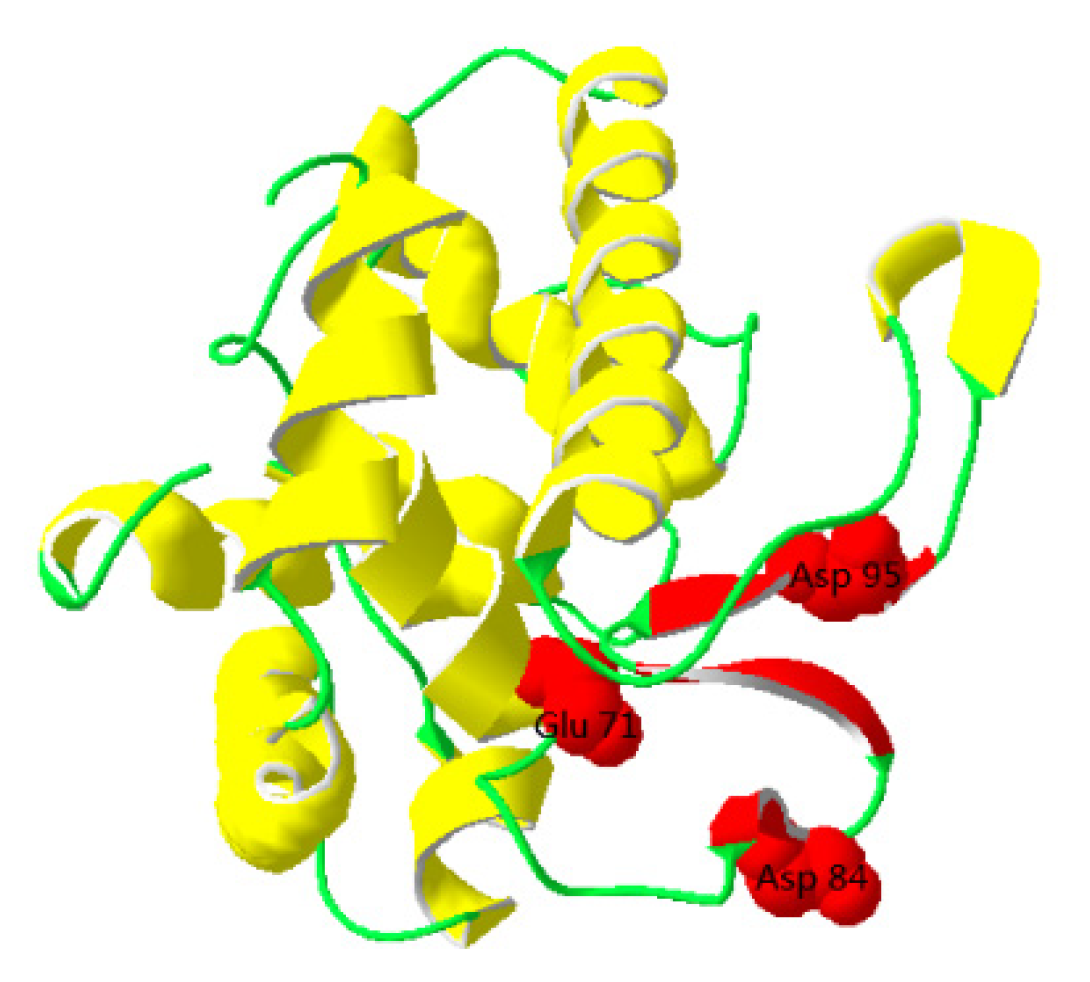 Fishes 08 00577 g002