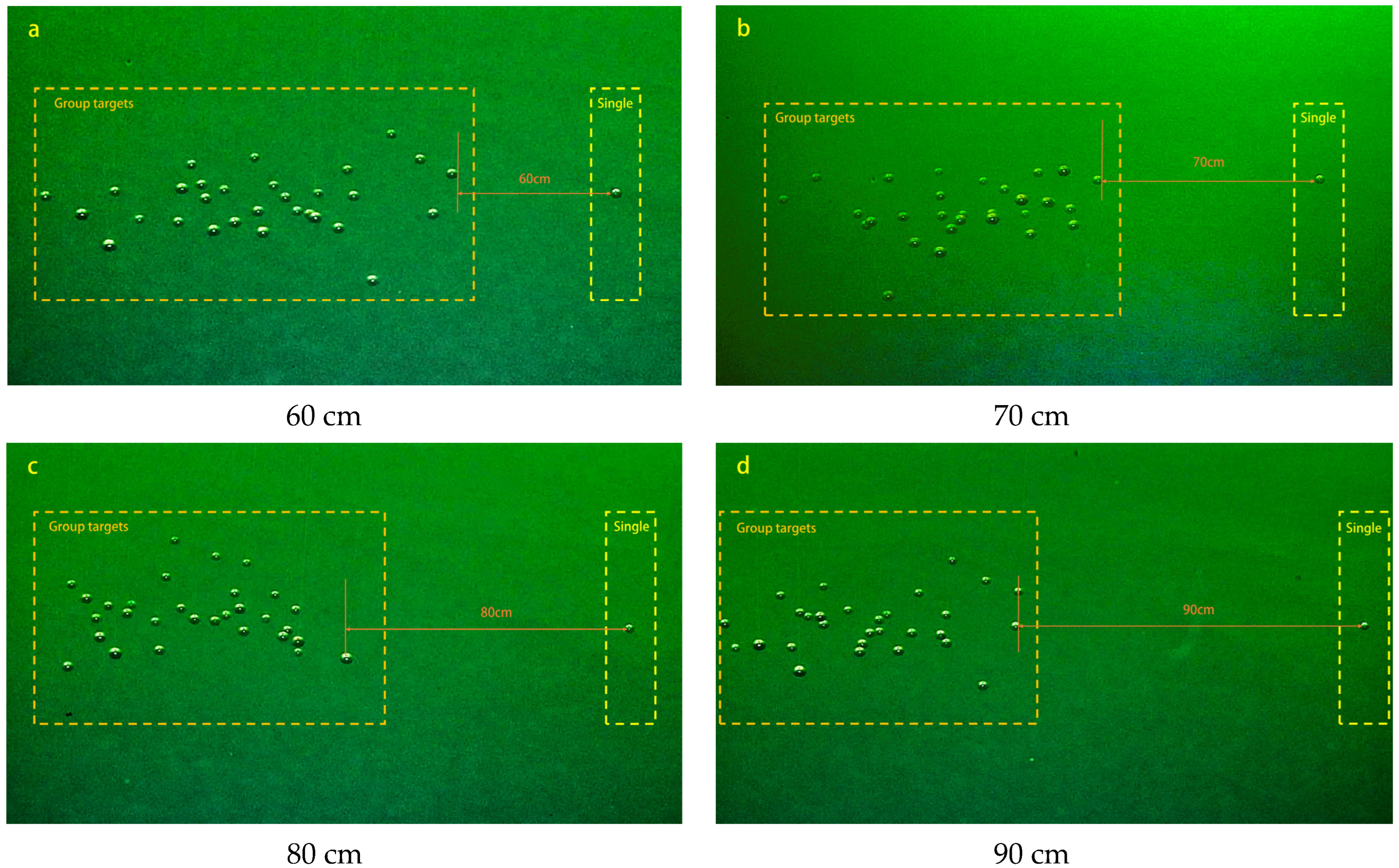 Fishes 08 00580 g004