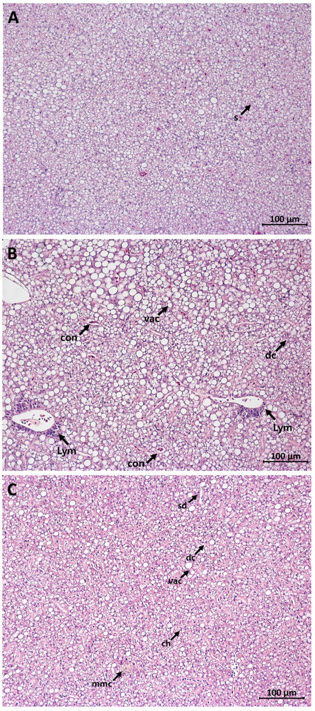 Fishes 08 00583 g001