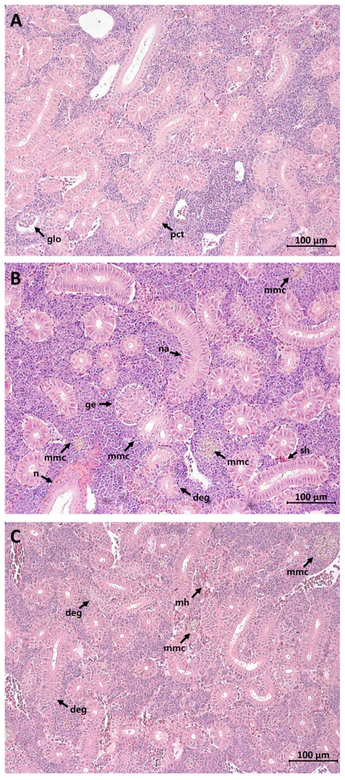 Fishes 08 00583 g002