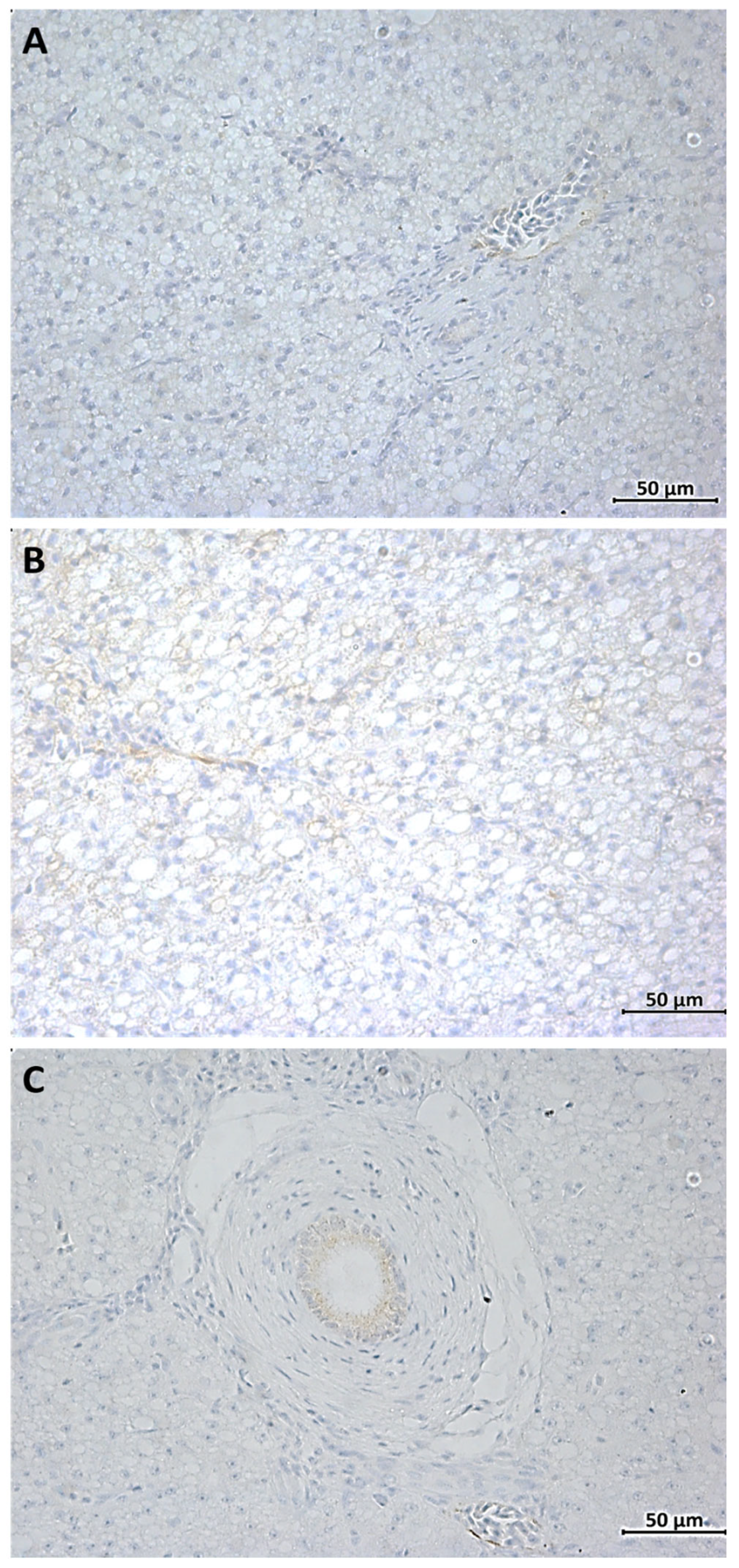 Fishes 08 00583 g003