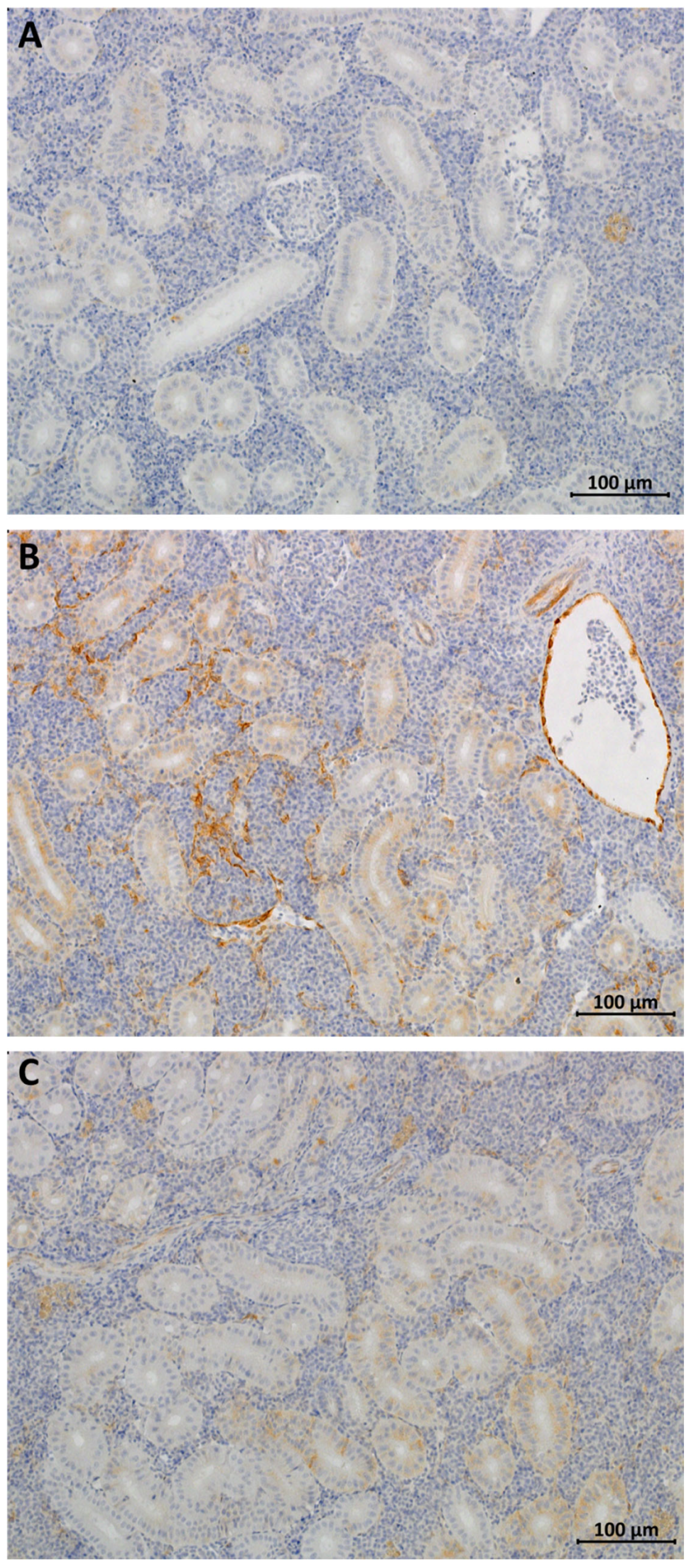 Fishes 08 00583 g004