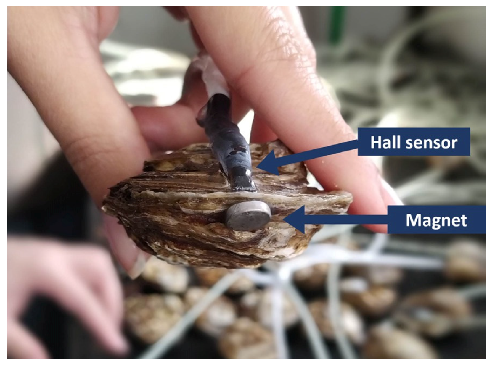 Fishes 08 00586 g002