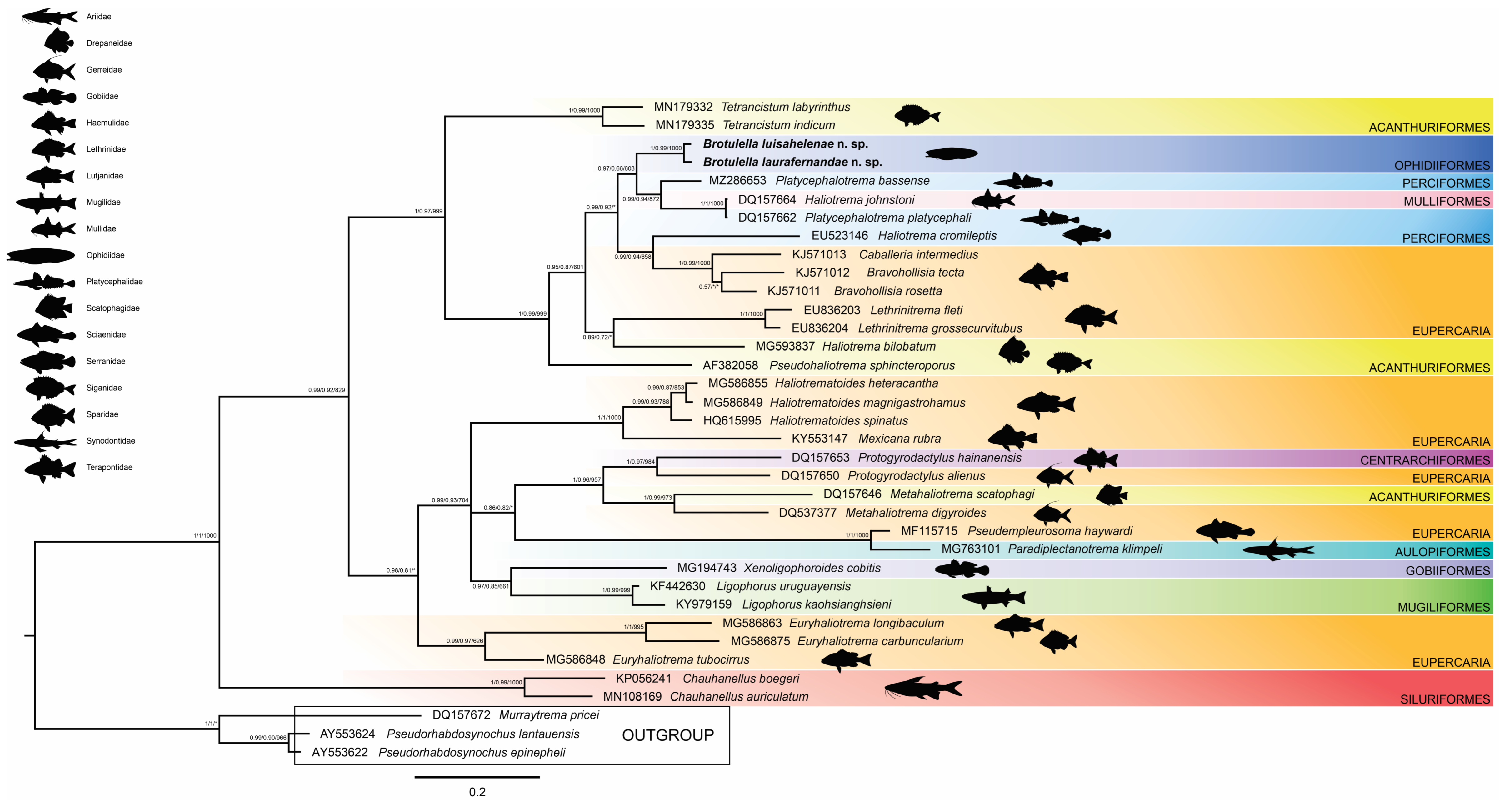Fishes 08 00588 g003