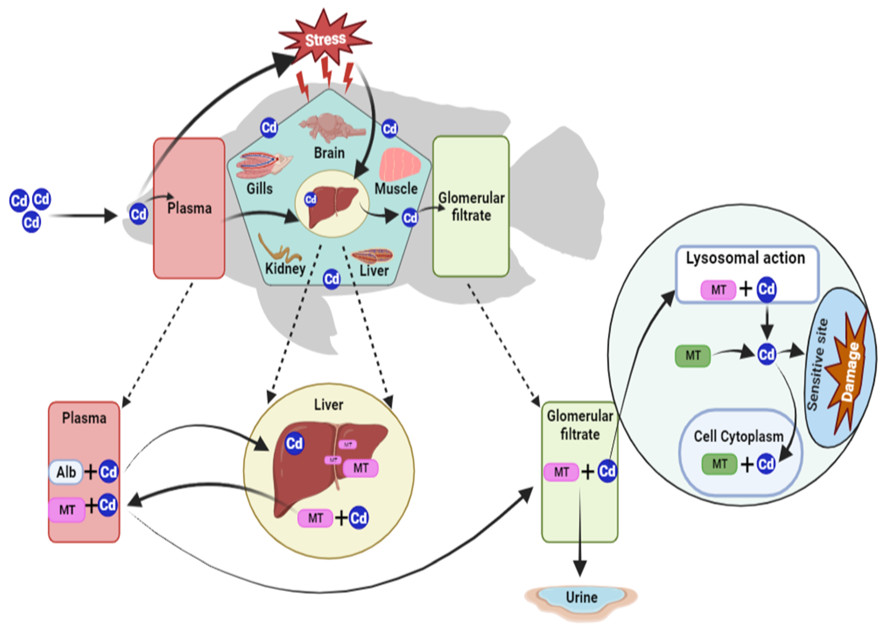 Fishes 08 00589 g002