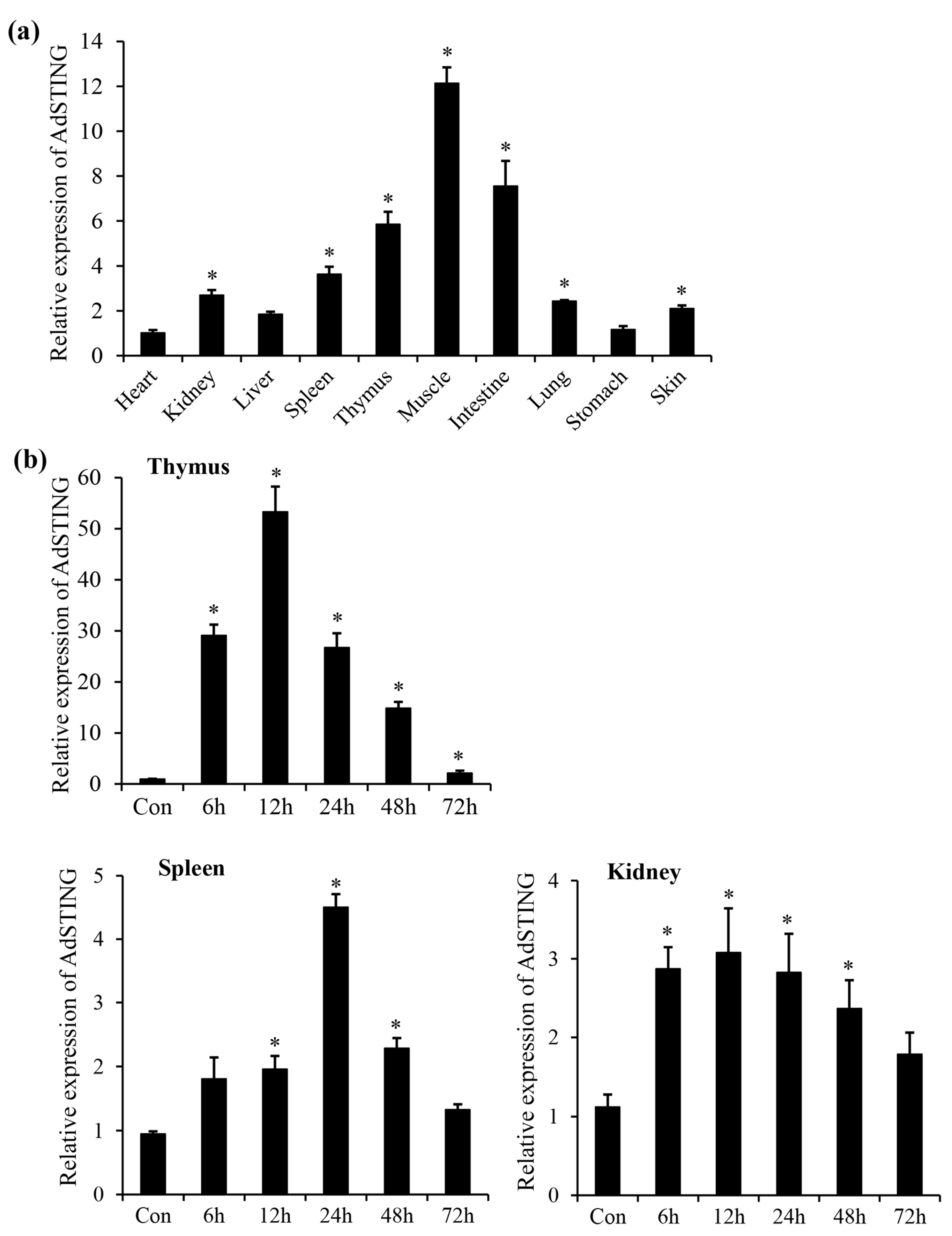 Fishes 08 00597 g003