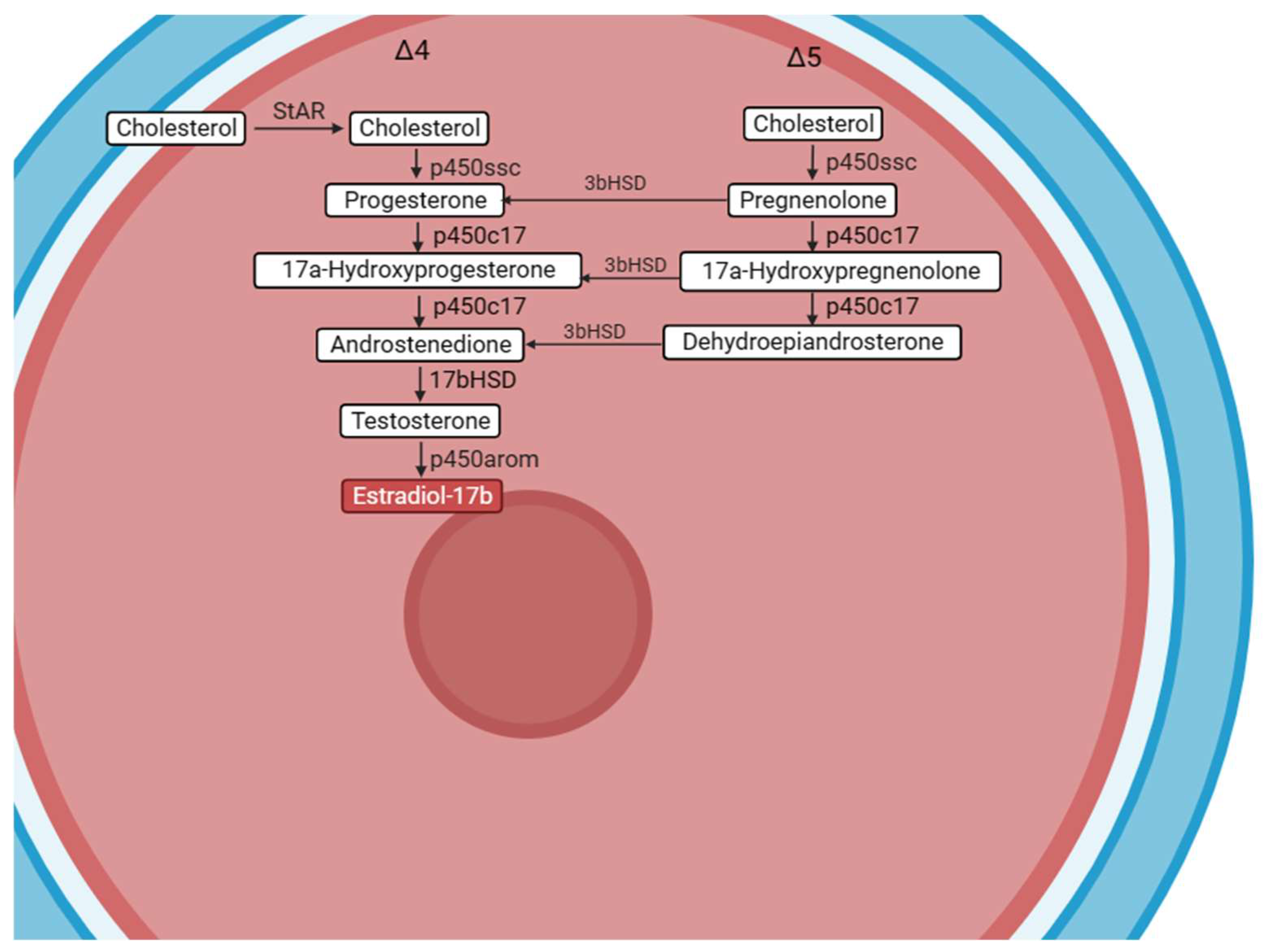 Fishes 08 00608 g005