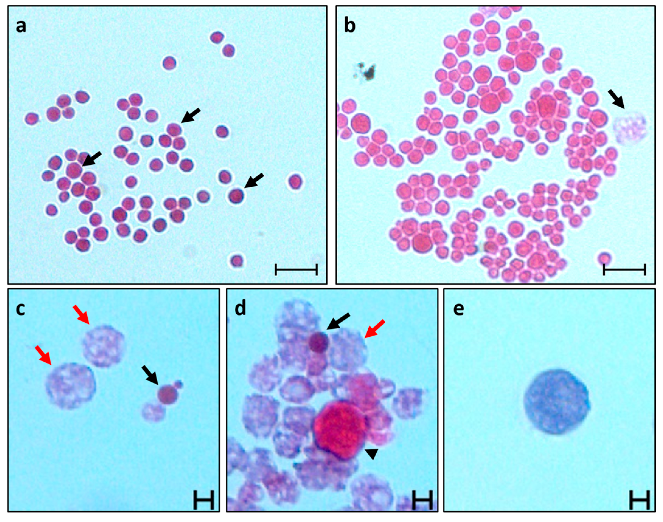 Fishes 09 00022 g002