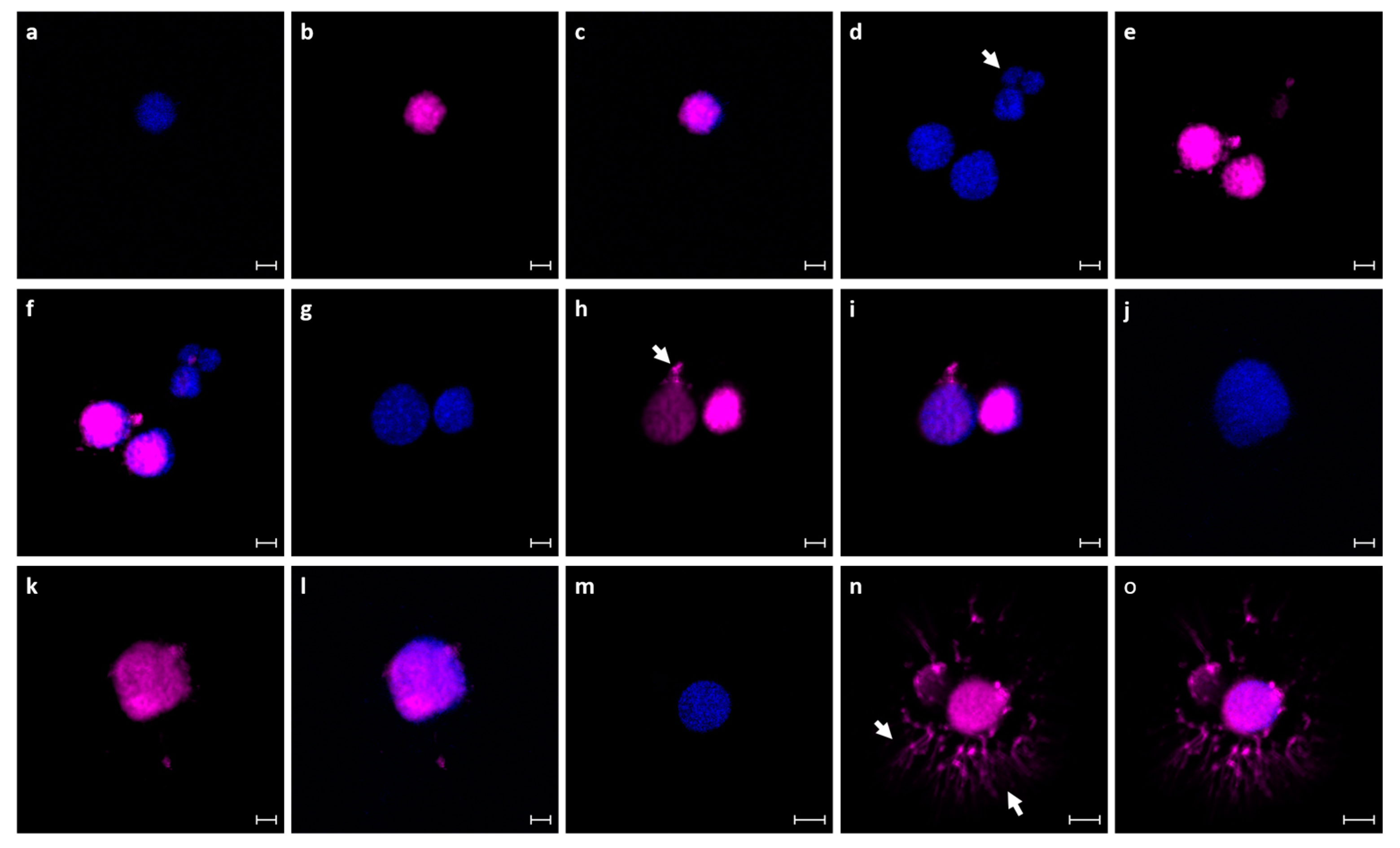 Fishes 09 00022 g003