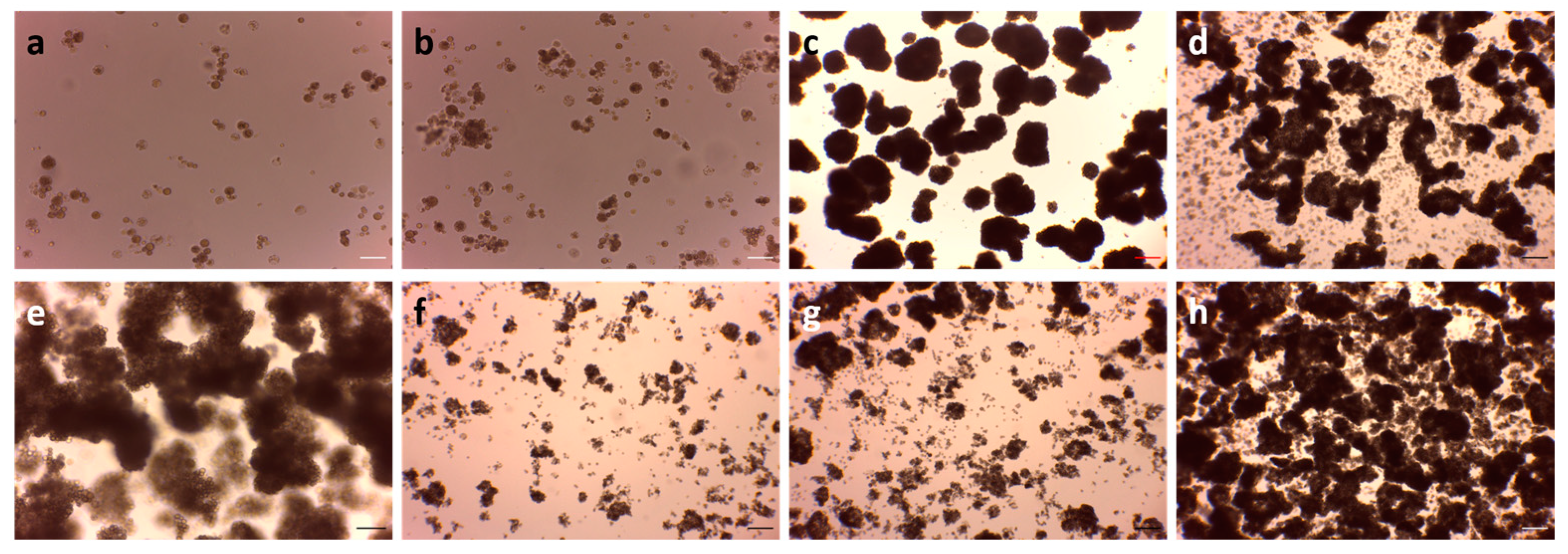 Fishes 09 00022 g004