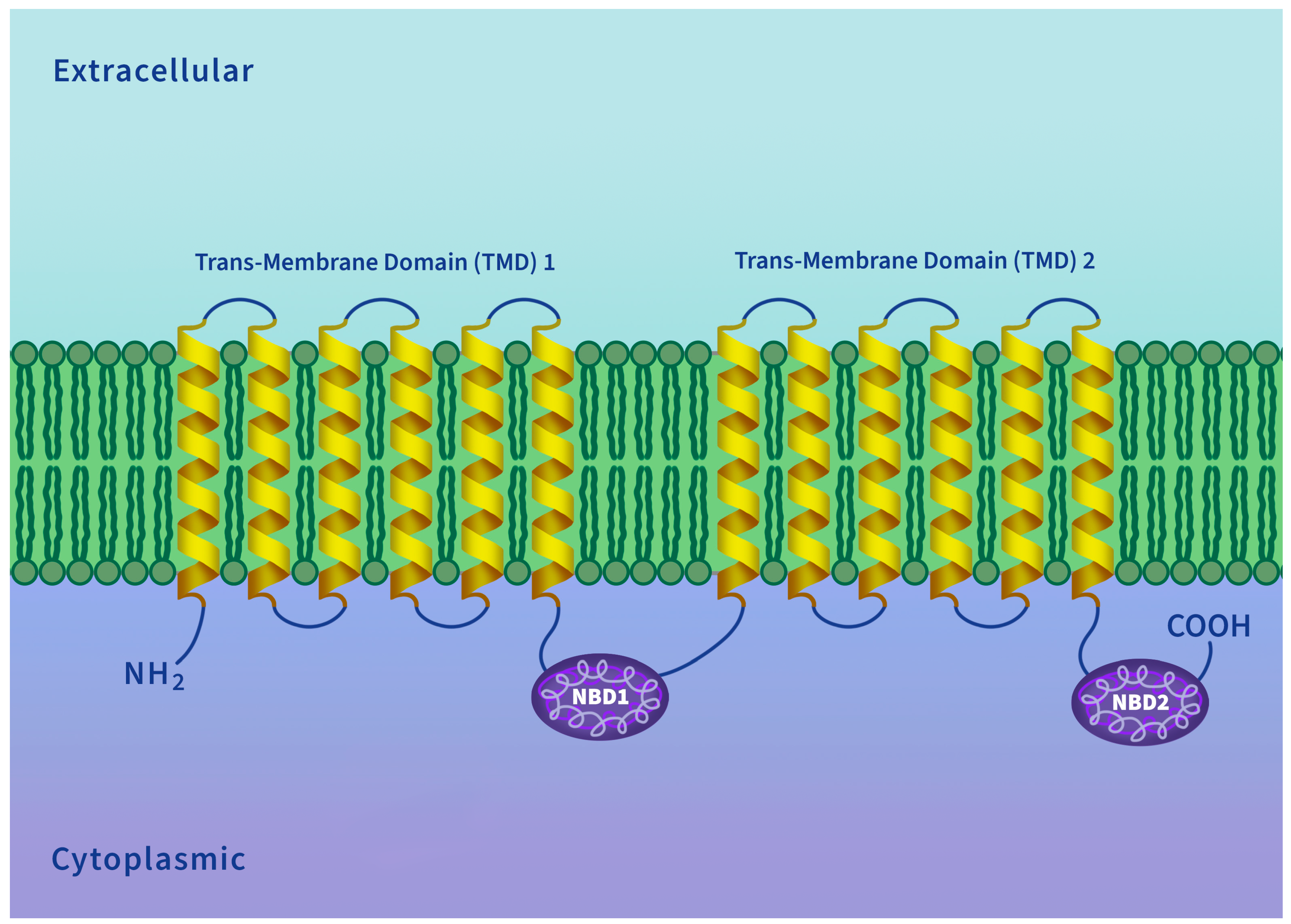 Fishes 09 00051 g002 Fishes 09 00051 g002