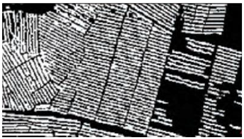 Fishes 09 00052 i003