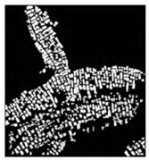 Fishes 09 00052 i004