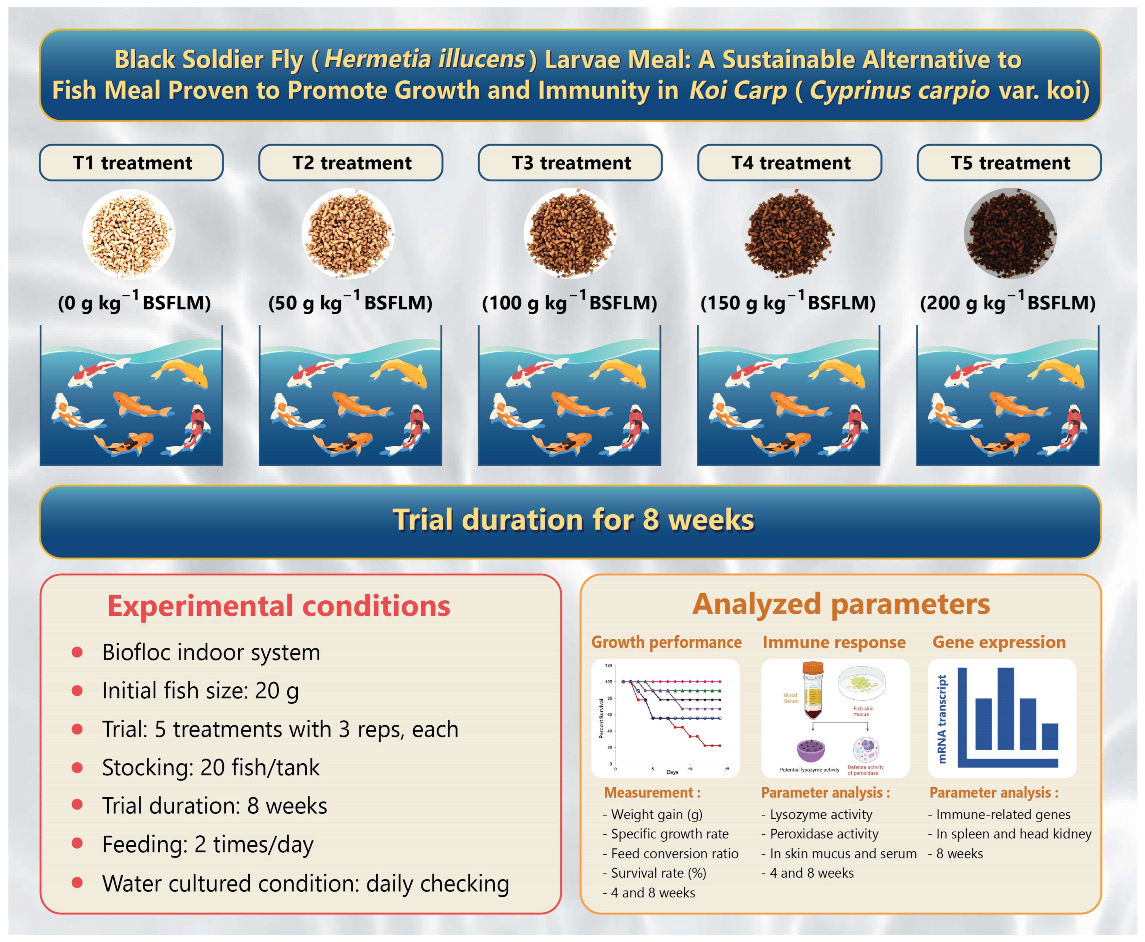 Fishes 09 00053 g001