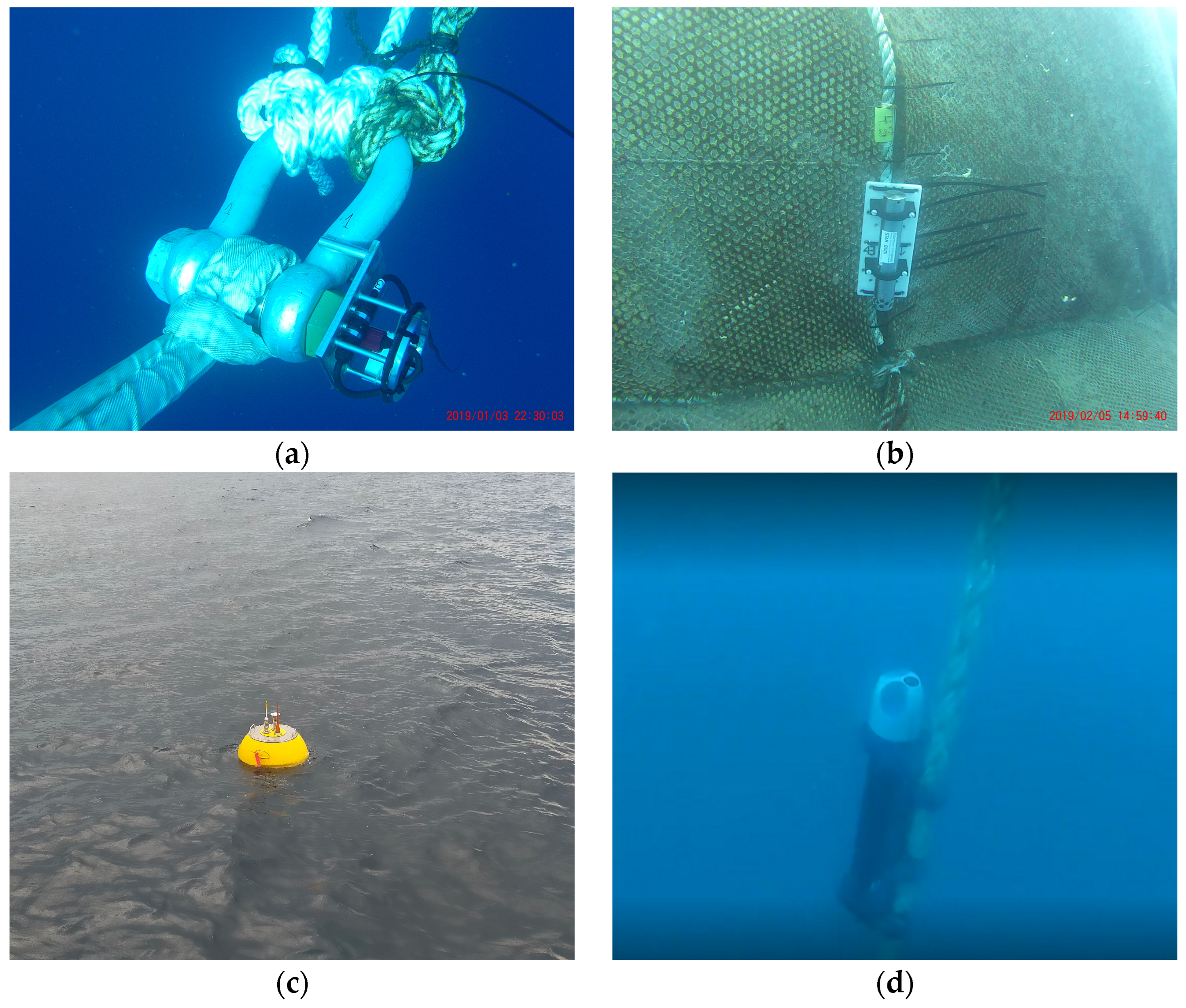 Fishes 09 00061 g001