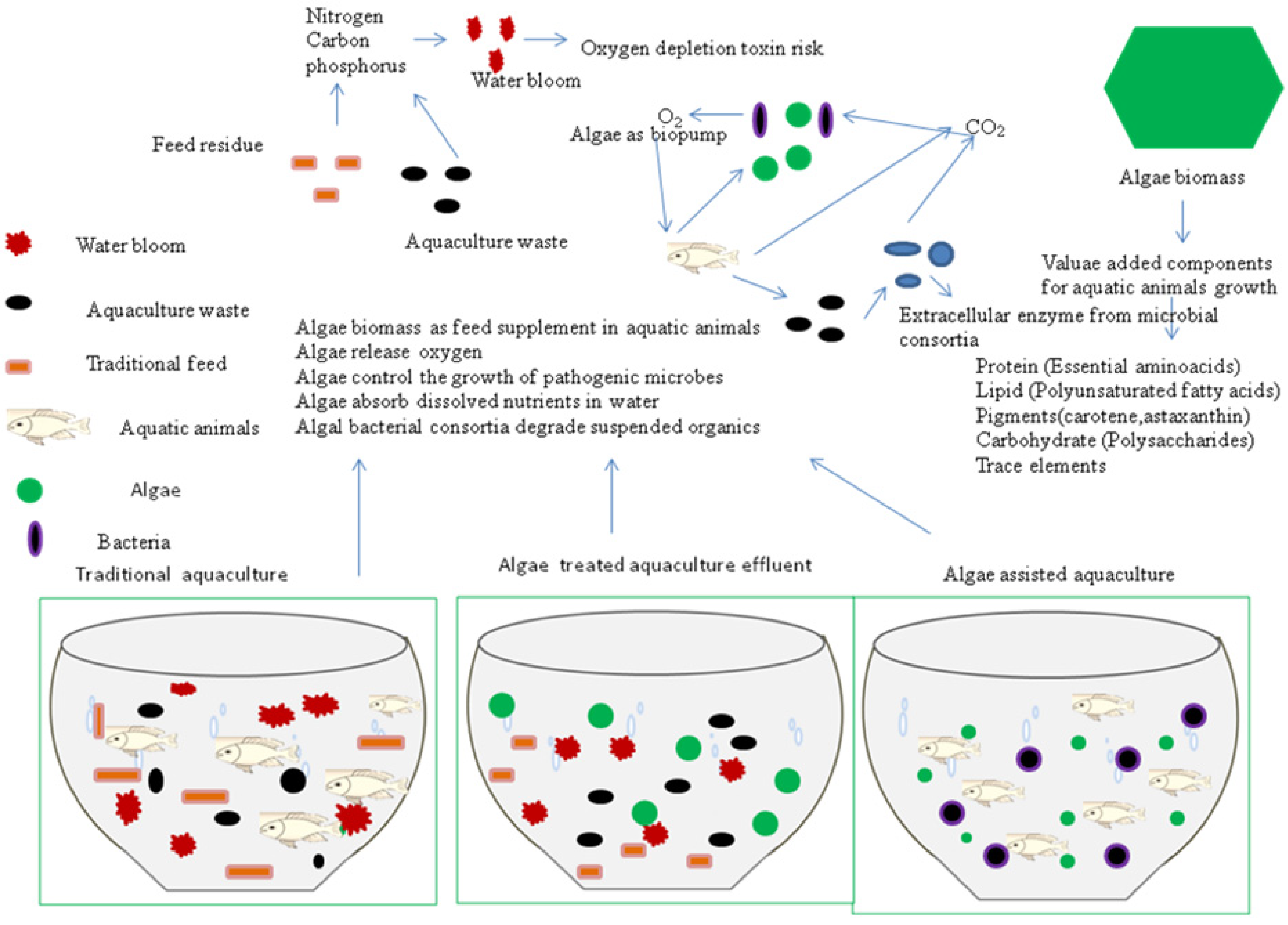 Fishes 09 00063 g001 Fishes 09 00063 g001