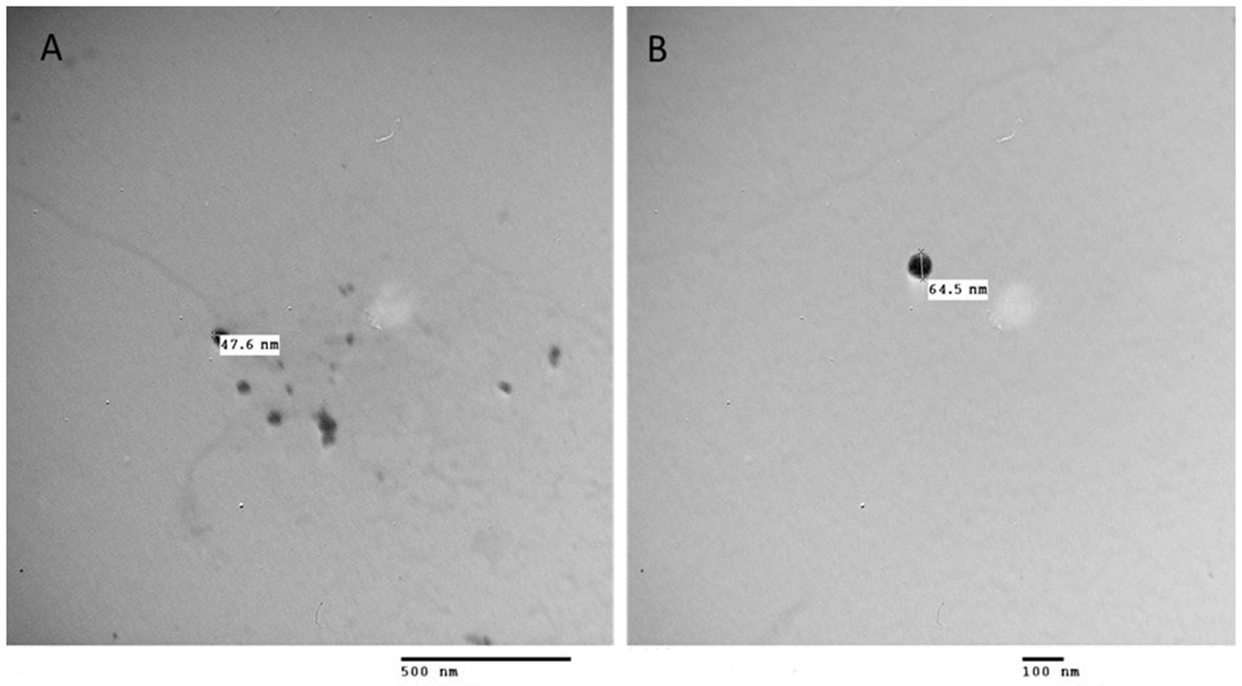 Fishes 09 00076 g001