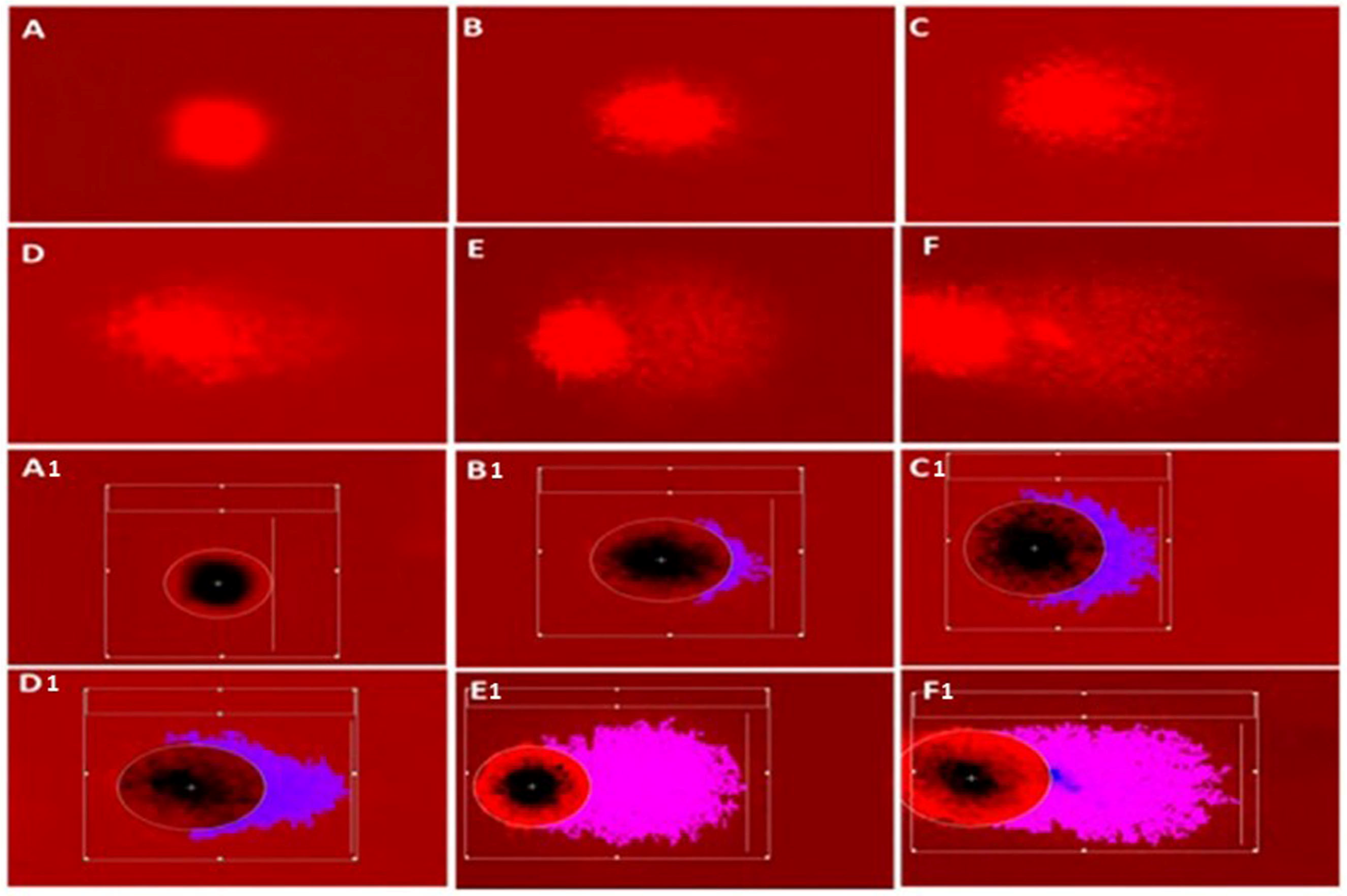 Fishes 09 00076 g003