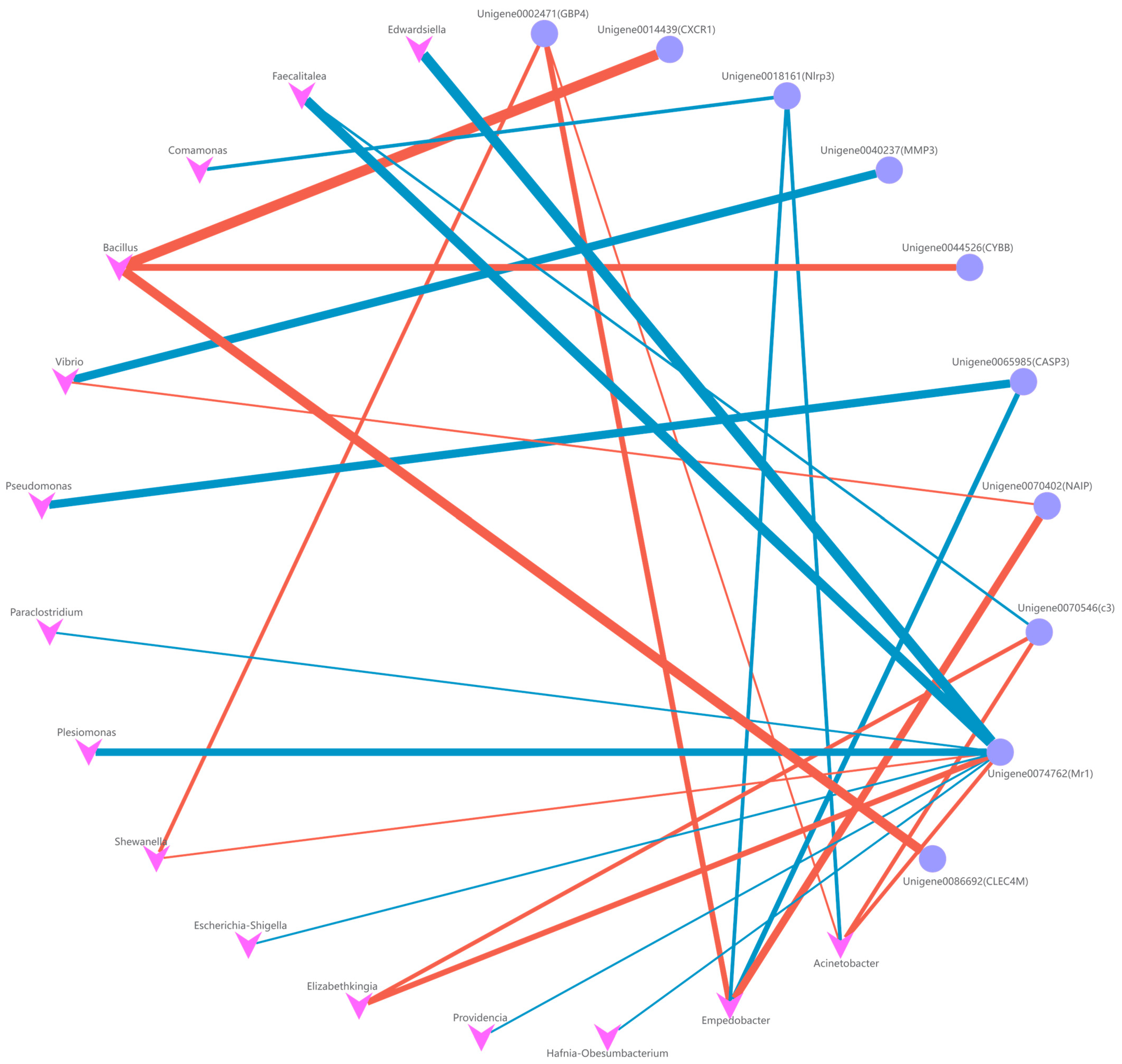 Fishes 09 00091 g011