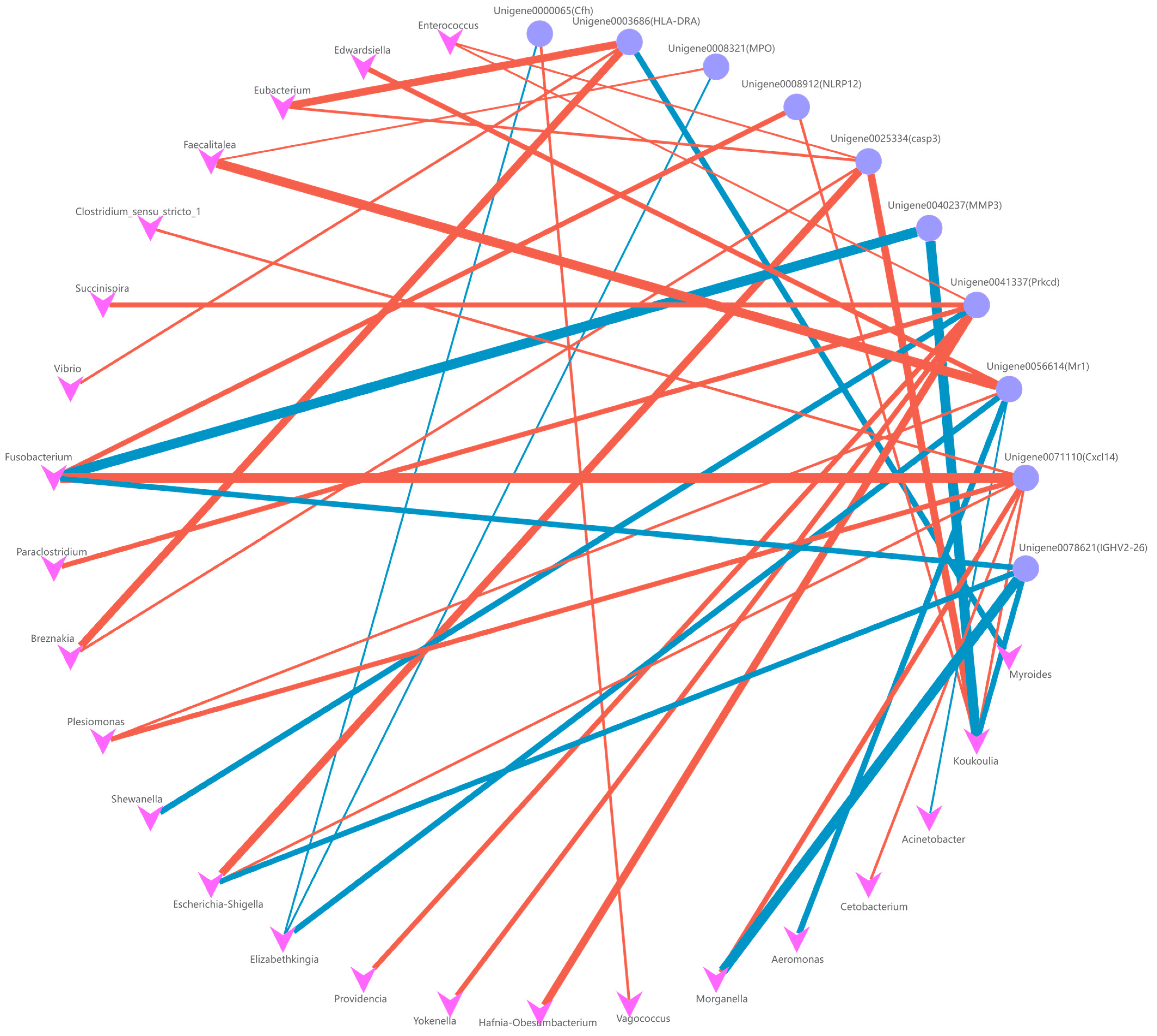 Fishes 09 00091 g012