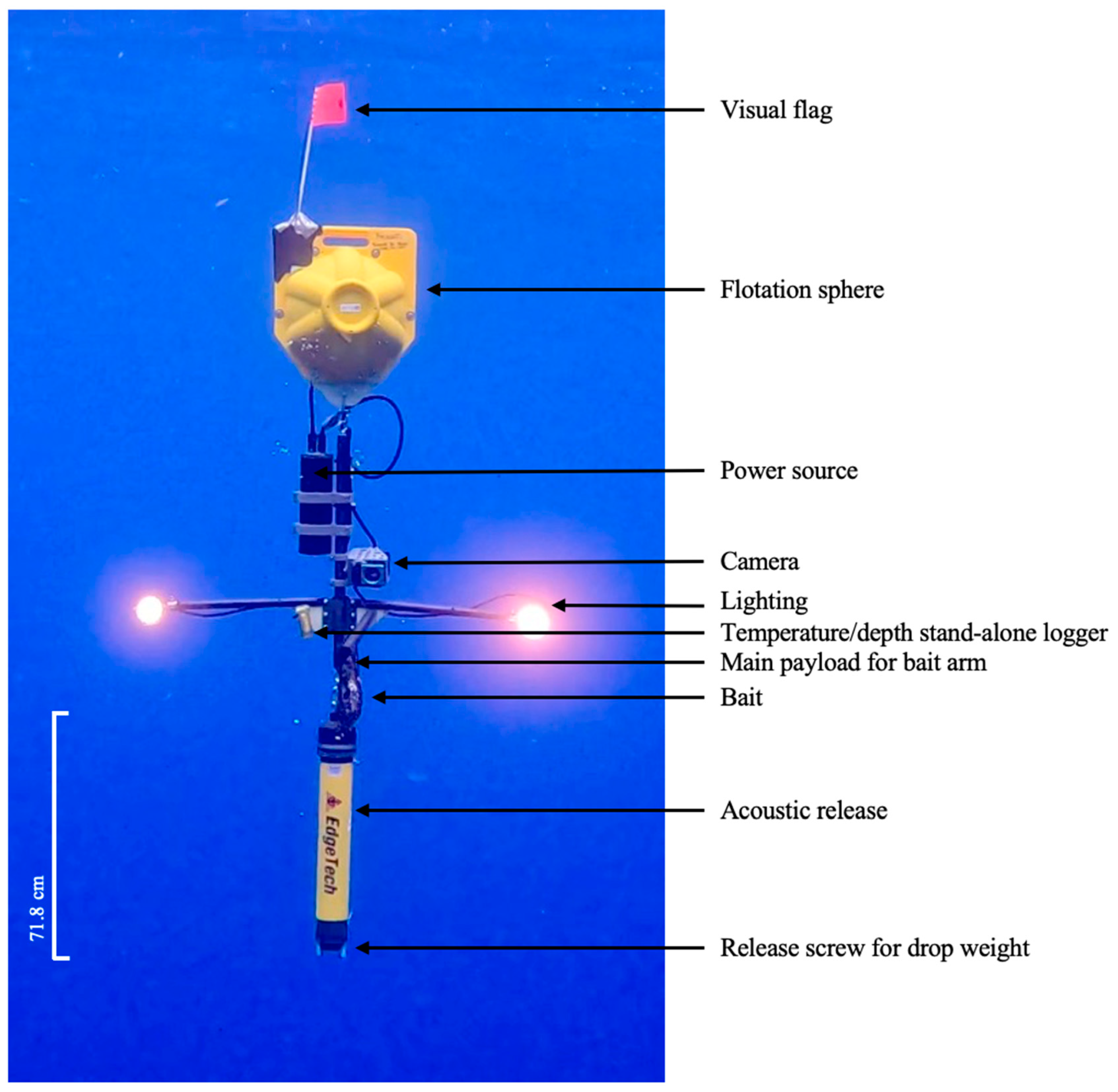 Fishes 09 00114 g001