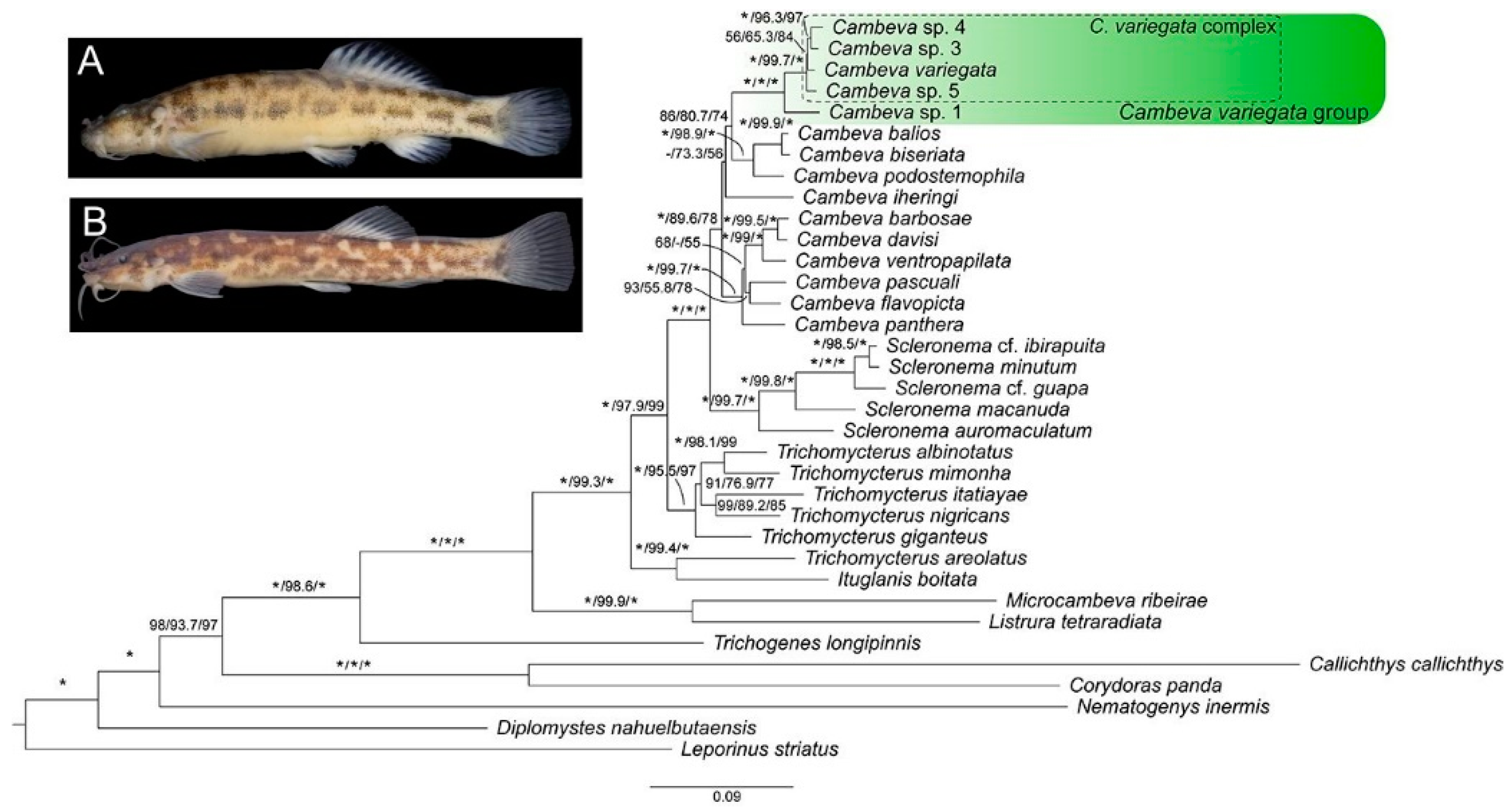 Fishes 09 00116 g001
