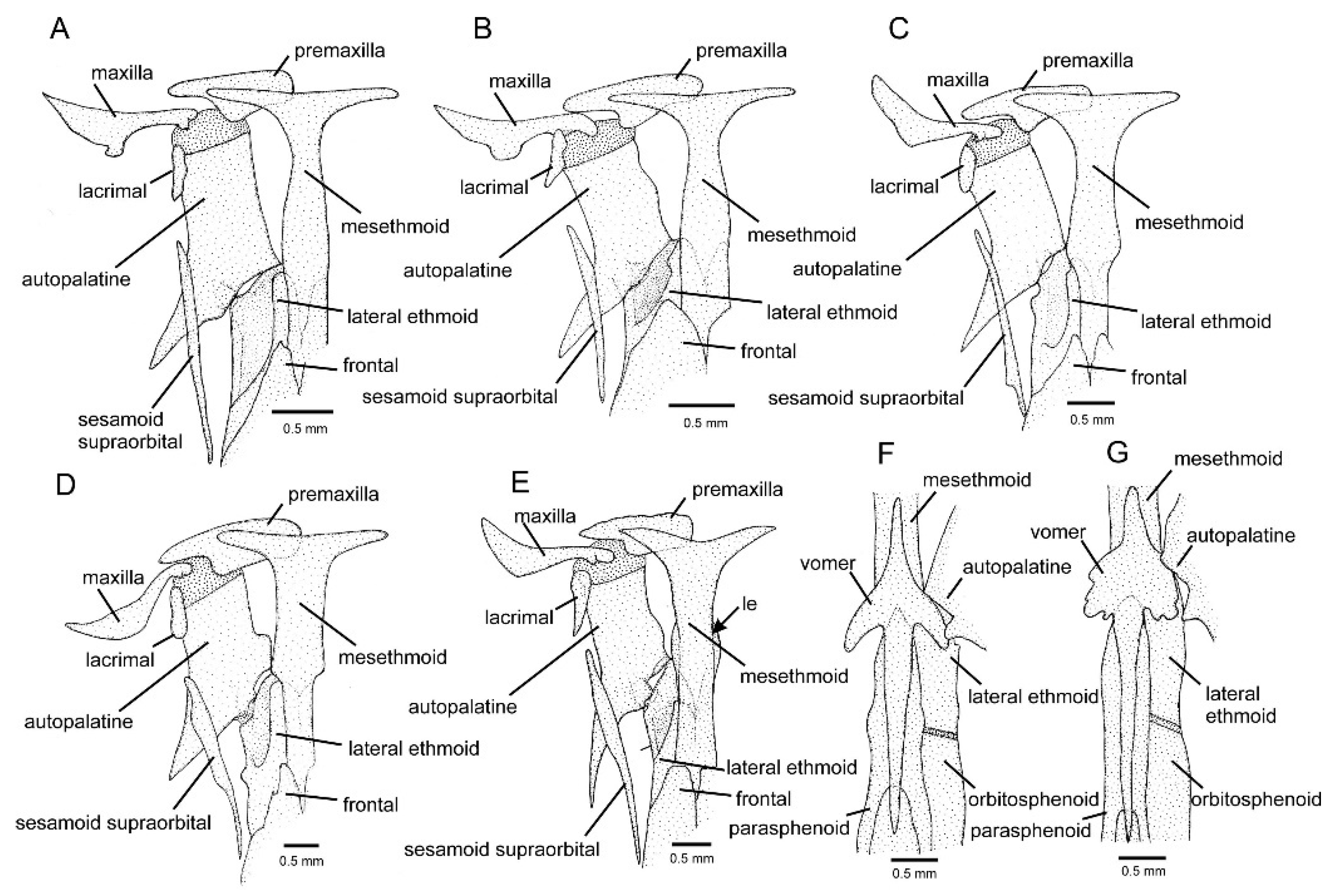 Fishes 09 00116 g003