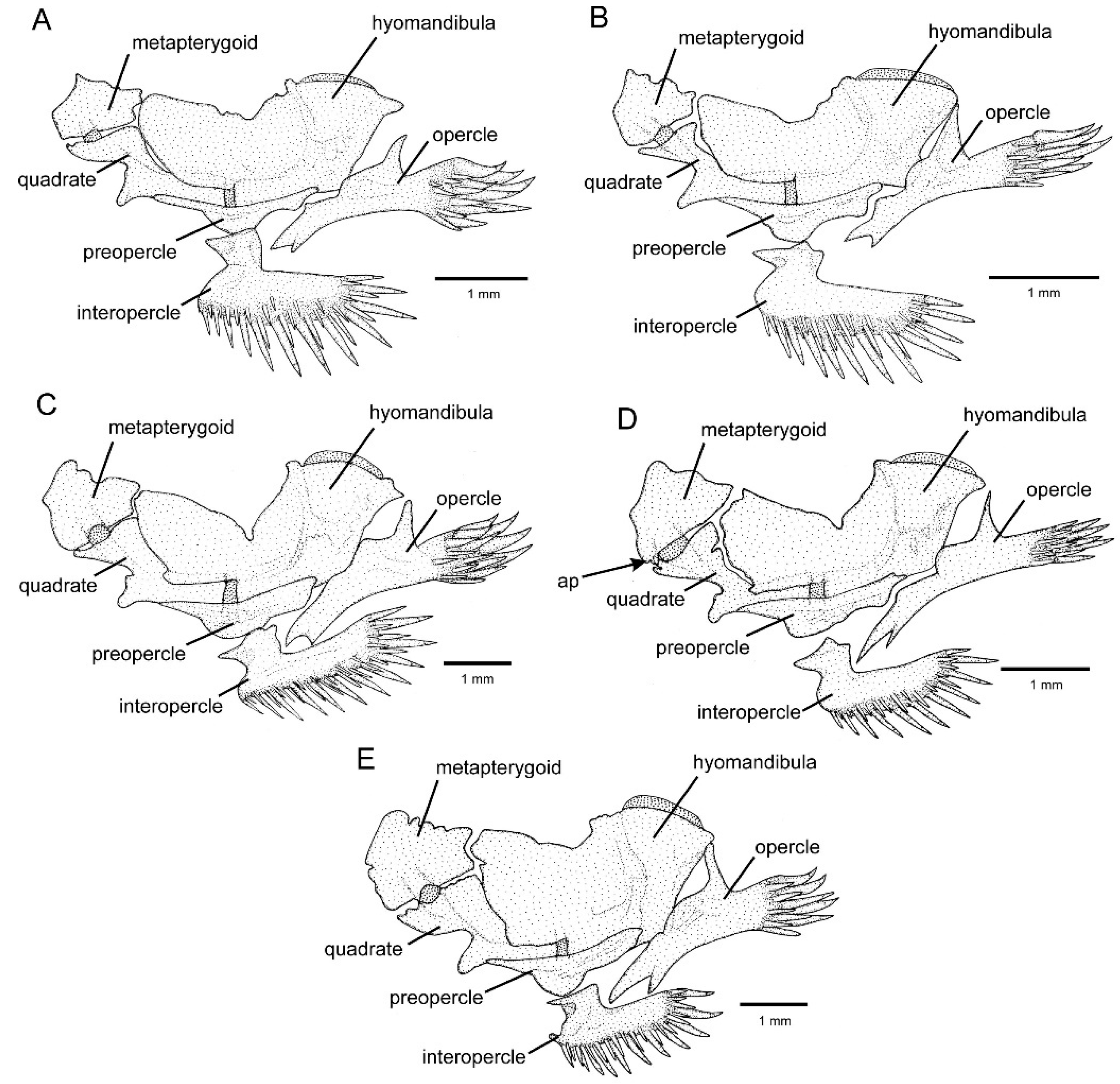 Fishes 09 00116 g004
