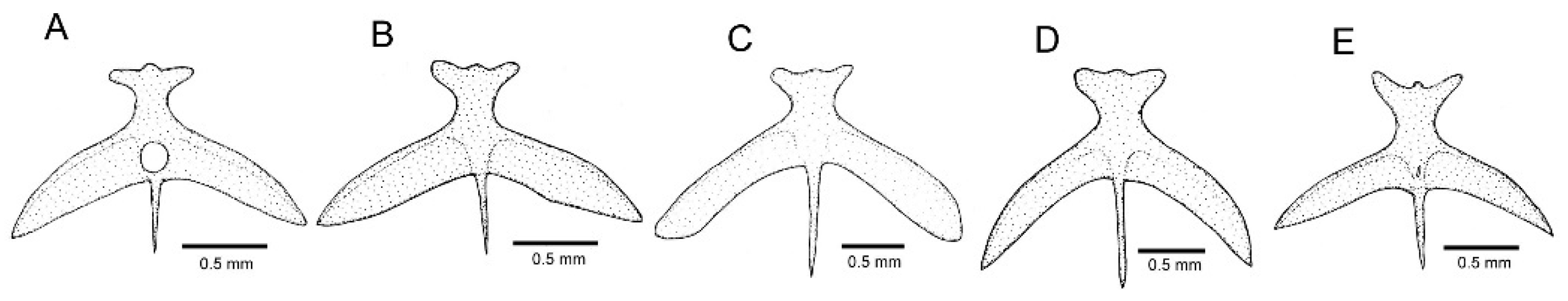 Fishes 09 00116 g005
