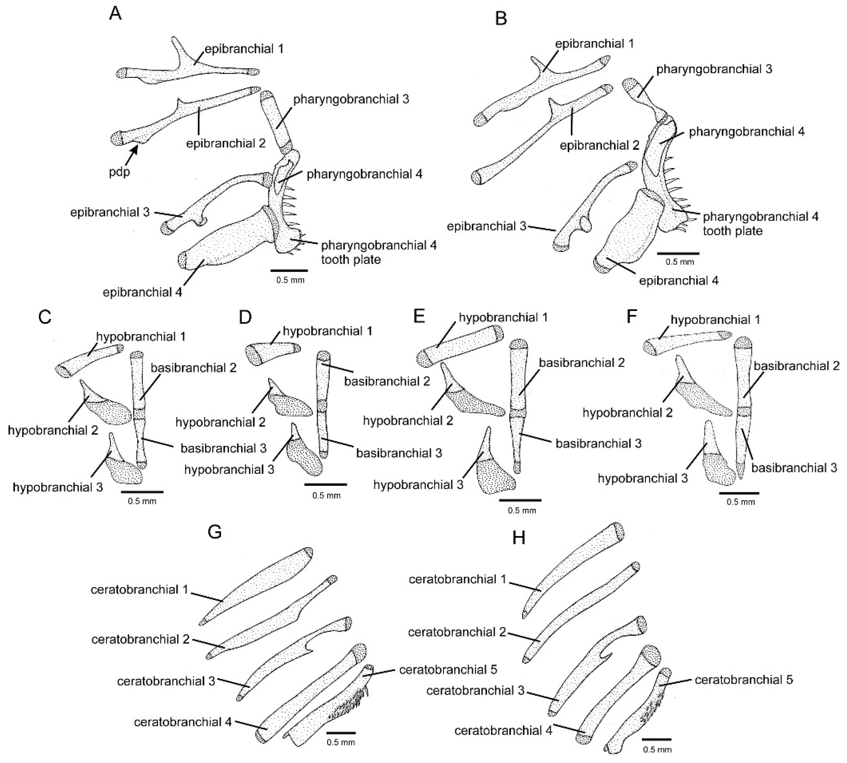 Fishes 09 00116 g007