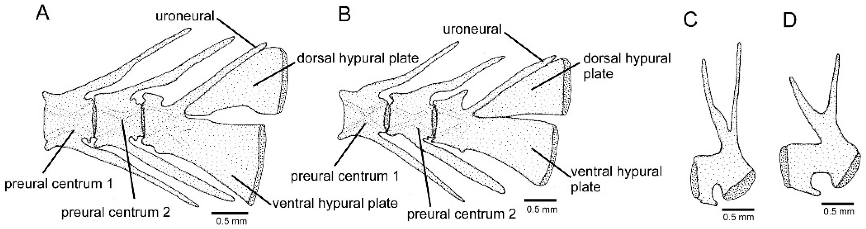 Fishes 09 00116 g008