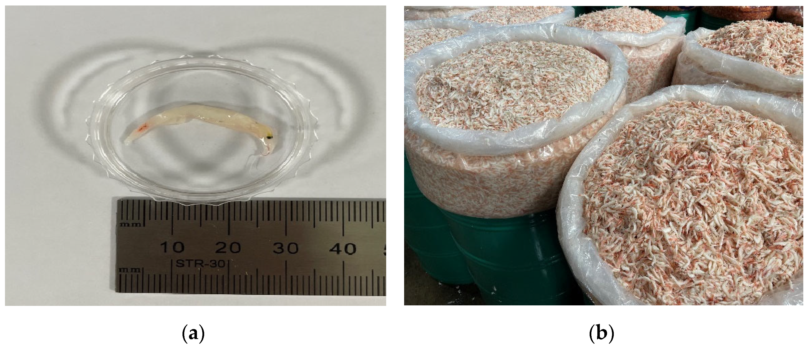 Fishes 09 00118 g001