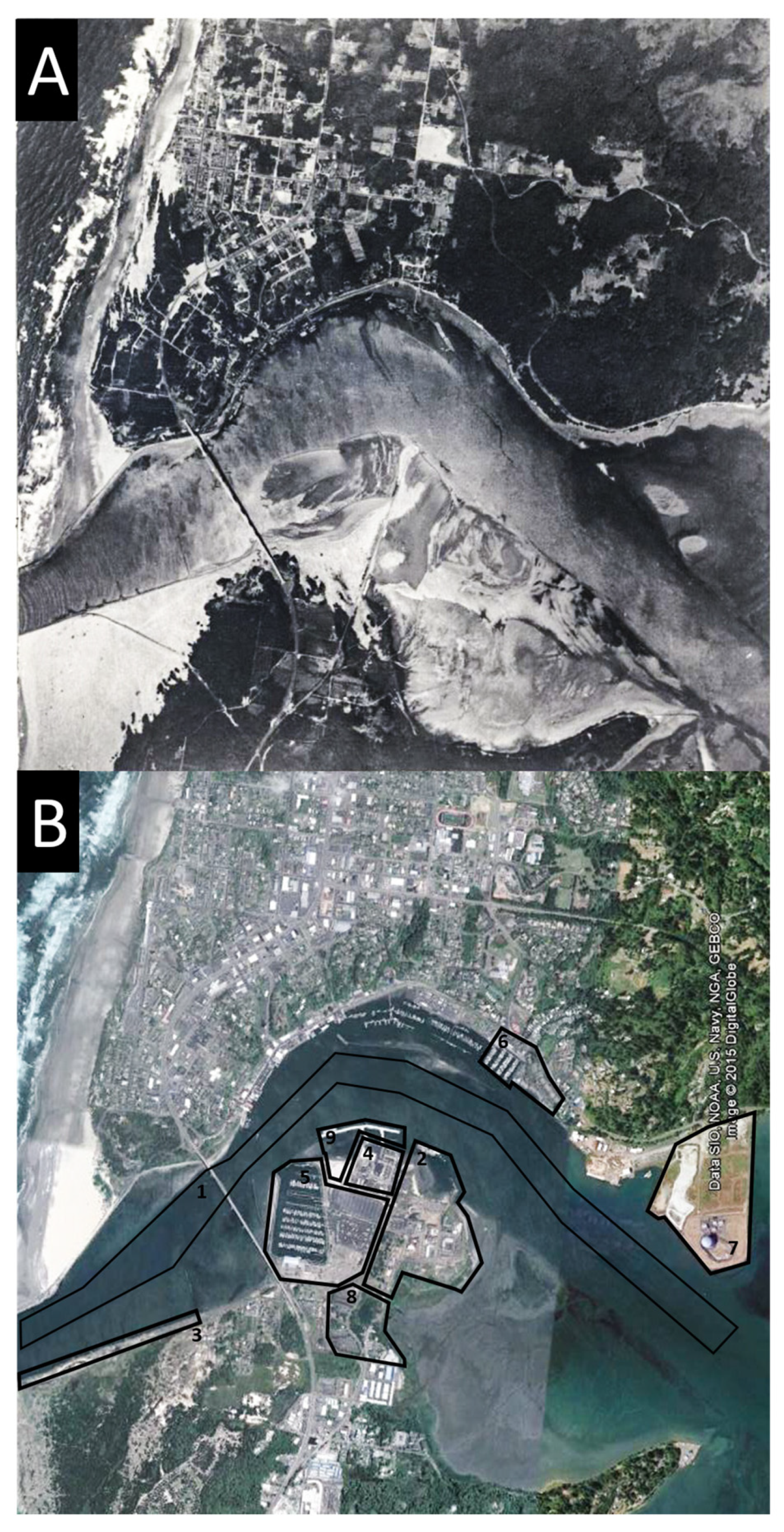 Fishes 09 00125 g002