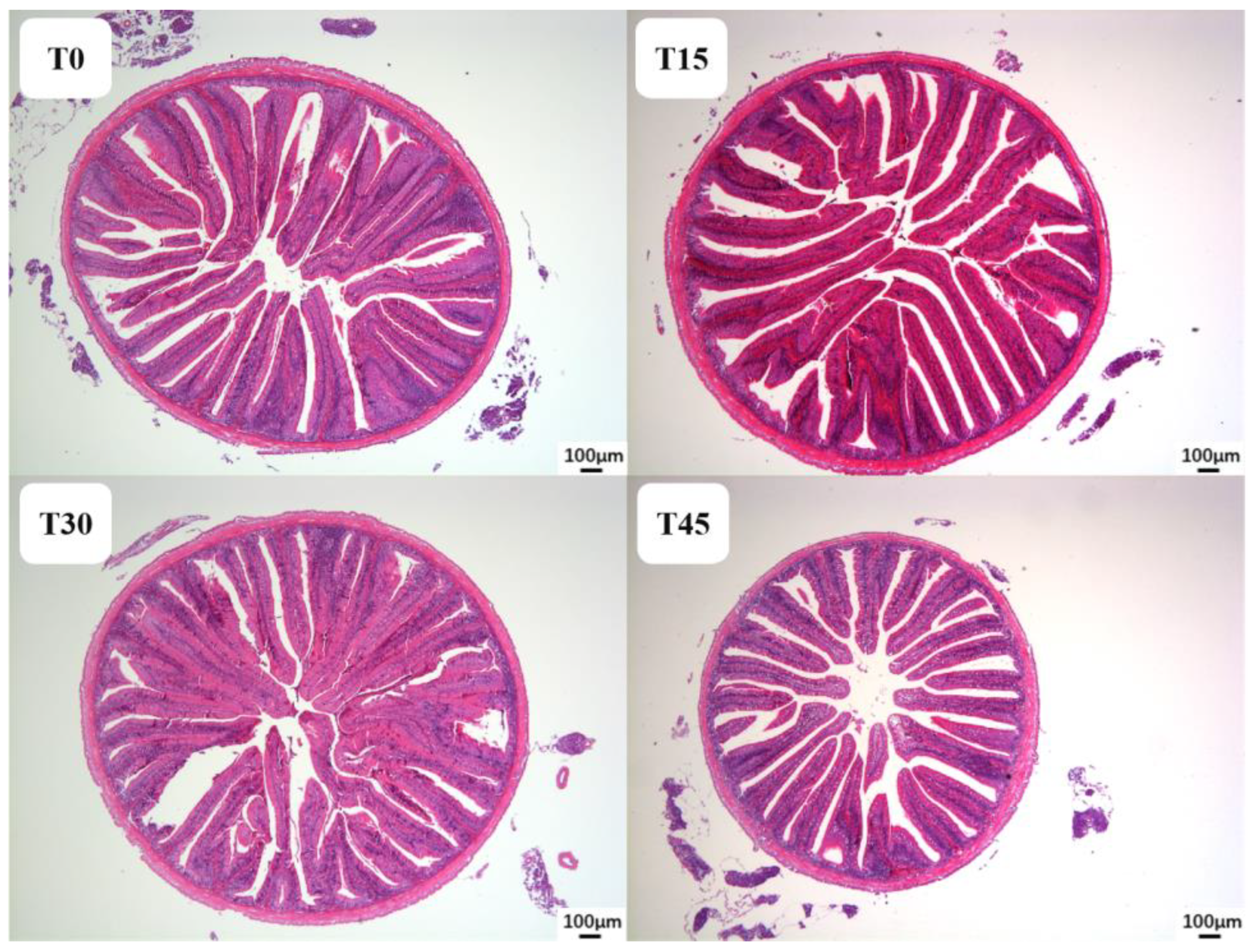 Fishes 09 00127 g002