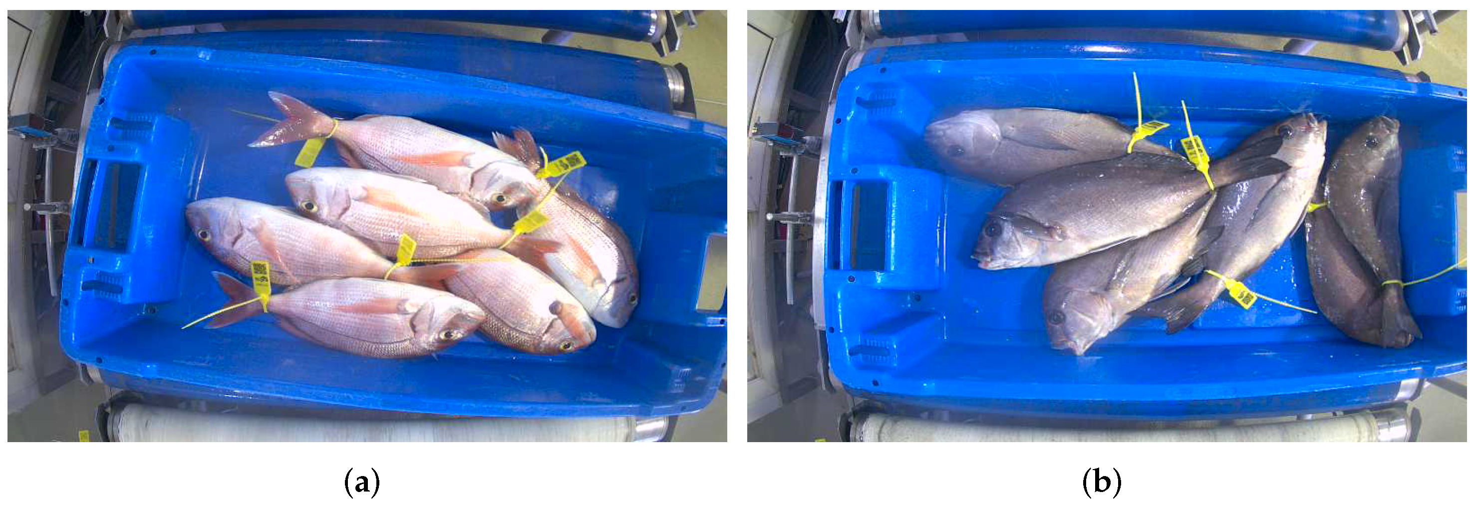 Fishes 09 00133 g001