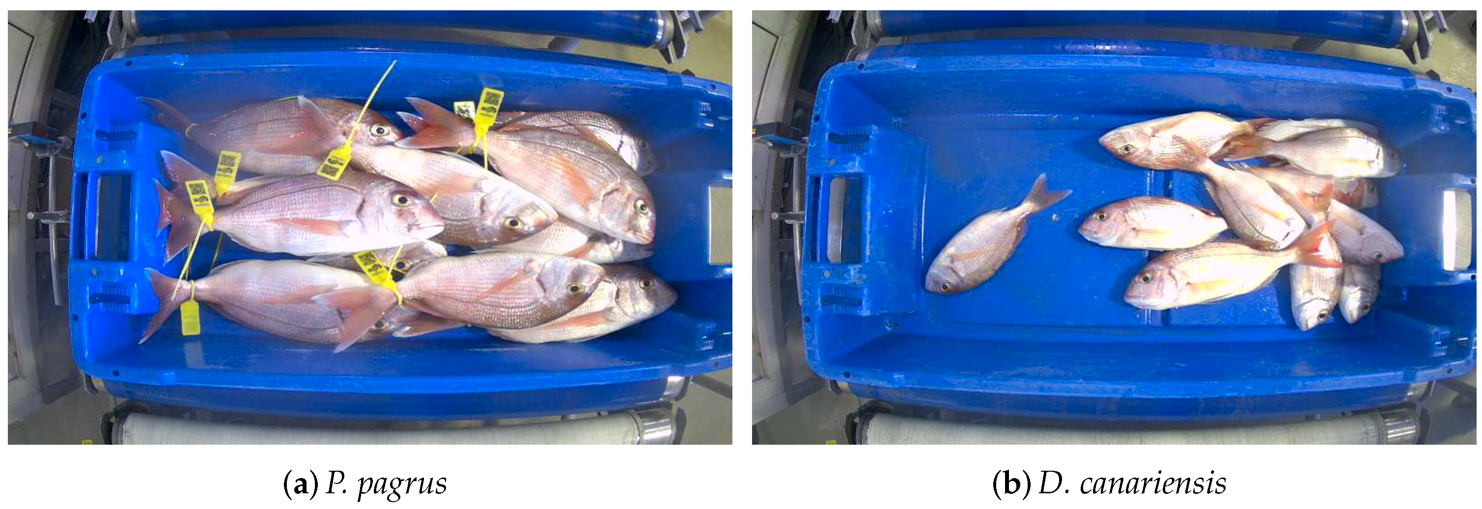 Fishes 09 00133 g005