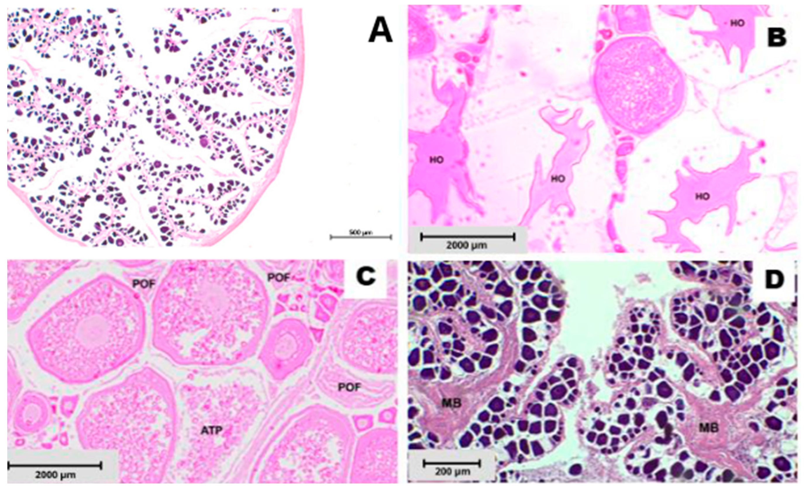 Fishes 09 00136 g002 Fishes 09 00136 g002
