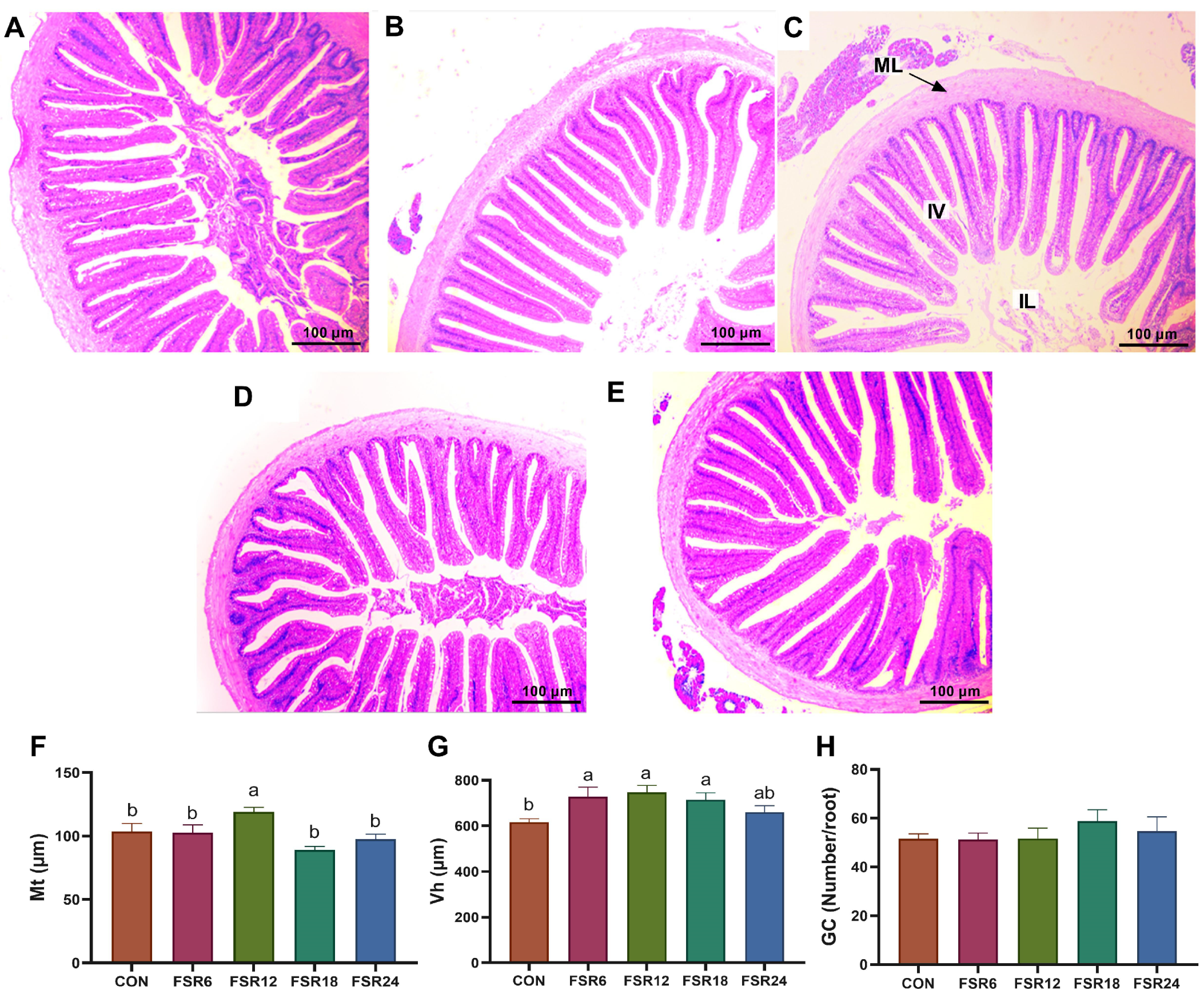 Fishes 09 00138 g003