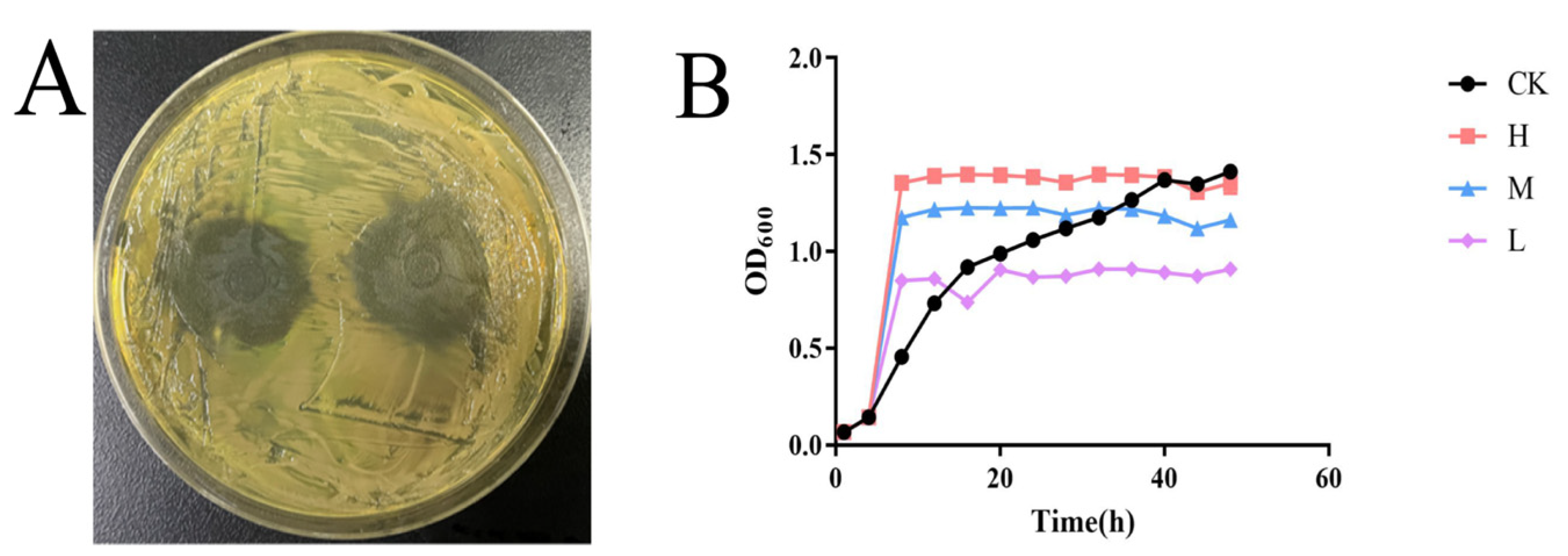 Fishes 09 00157 g001