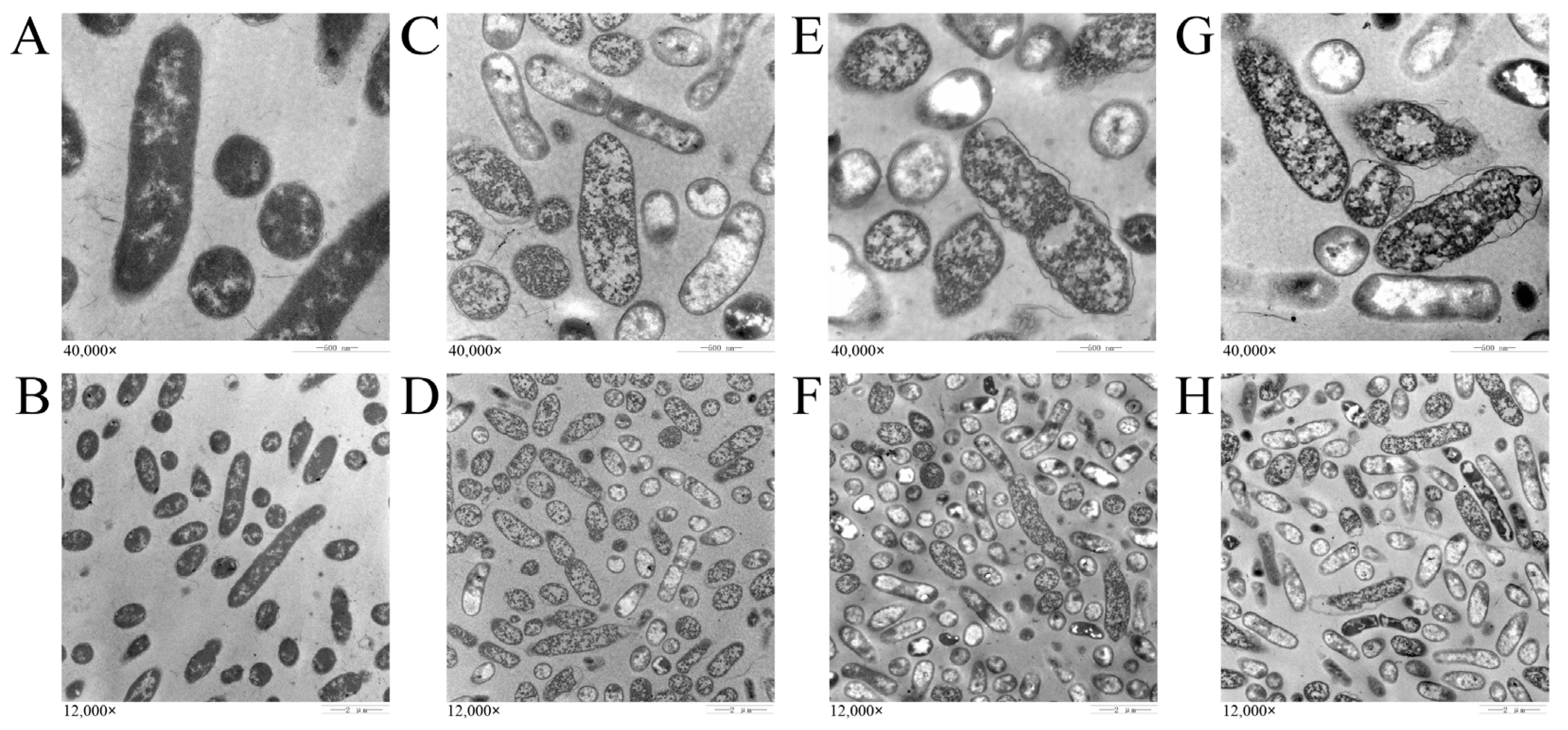 Fishes 09 00157 g002
