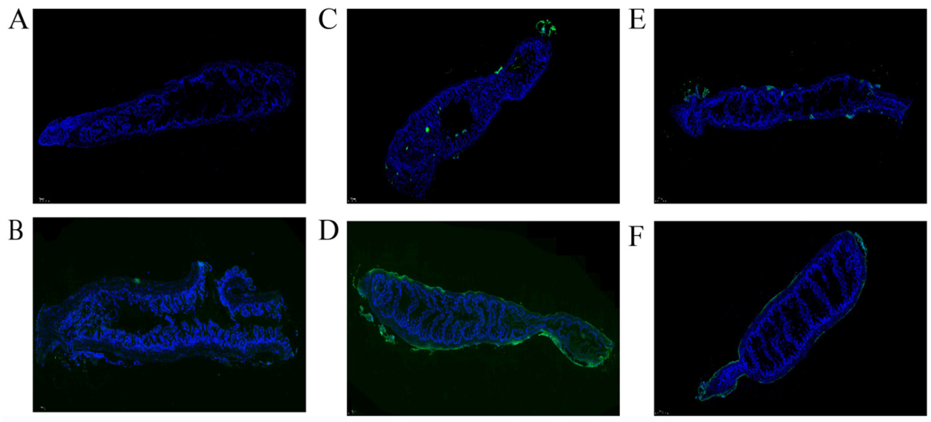 Fishes 09 00157 g003