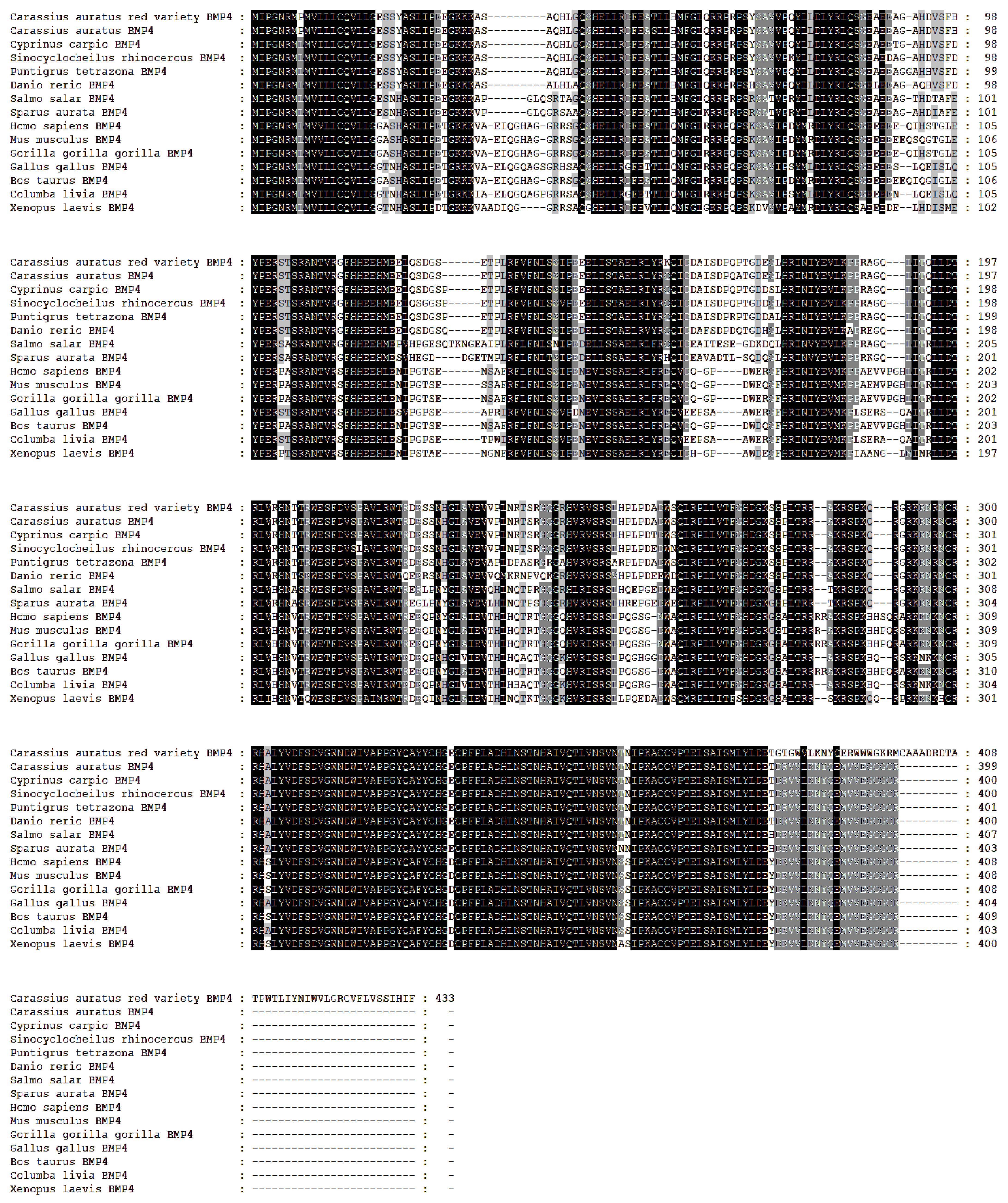 Fishes 09 00159 g004